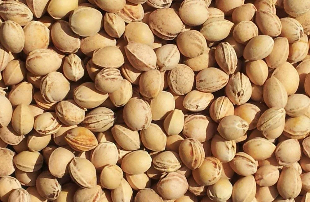 Cuscino del collo, cuori rosso. Cuscino termico con noccioli di ciliegia, terapia caldo e freddo. Scaldacollo - immagine 7