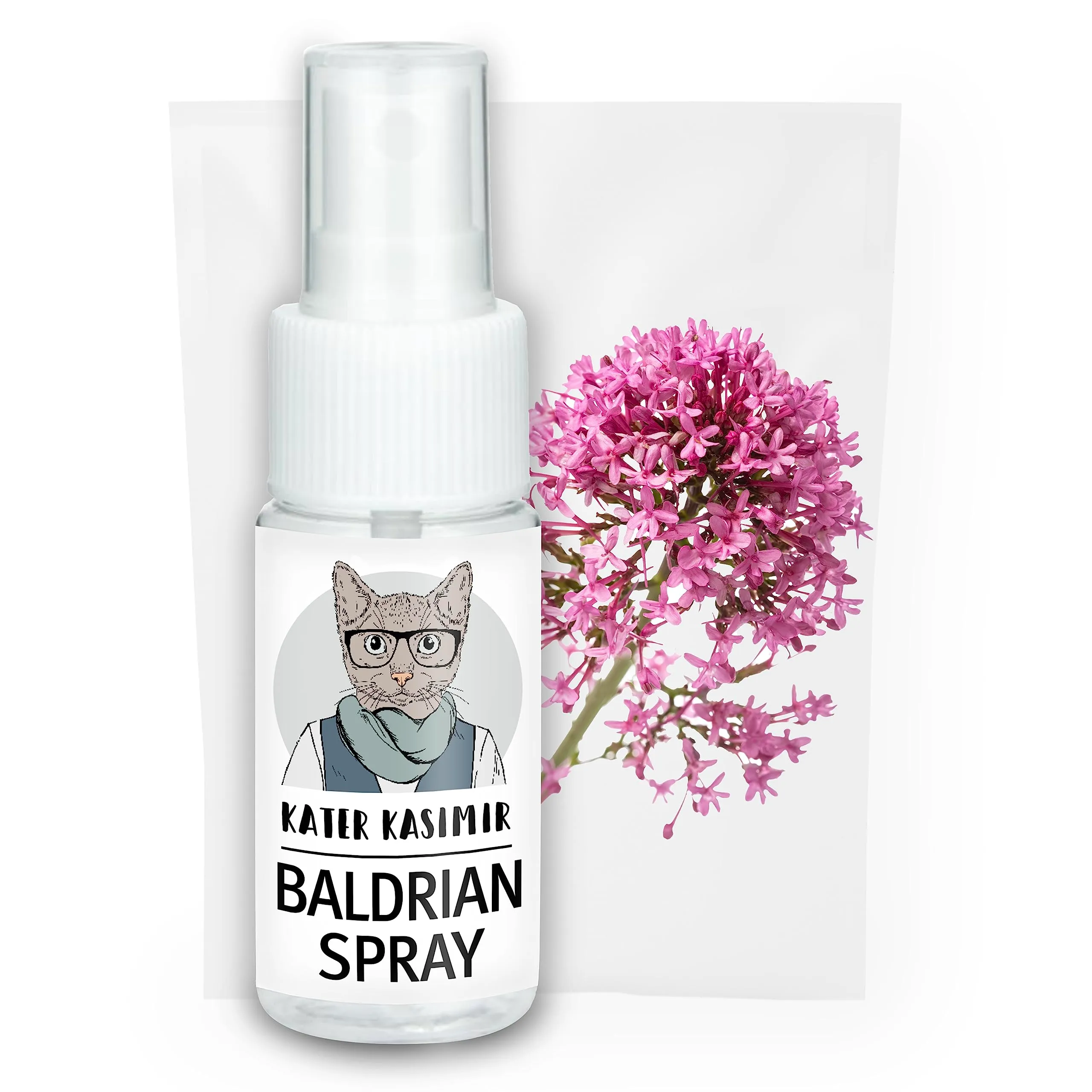 Kater Kasimir Spray valeriana per gatti, 100% naturale senza additivi. Lo spray valeriana rende noioso giocattolo per gatti interessante per l'auto-occupazione dei gatti - immagine 5