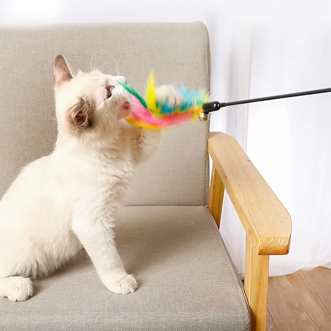 JSKWIKE 5 Pcs Bacchetta per Gatti Giocattolo per Animali Domestici Con Piuma e Campanellino - immagine 5