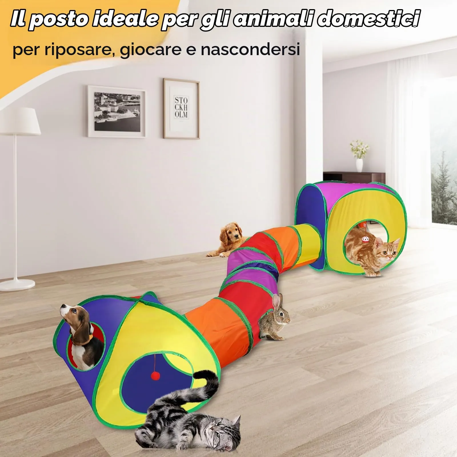 Giochi Tunnel per Gatti Pieghevole in Casa Gioco Tenda per Gatto Interattivo 3 in 1 Tubo per Gatto Interattivi Tunnel per Cani Gatti e Gattini Attivi Giocare con Borsa per Gatti Cuccioli Conigli - immagine 6