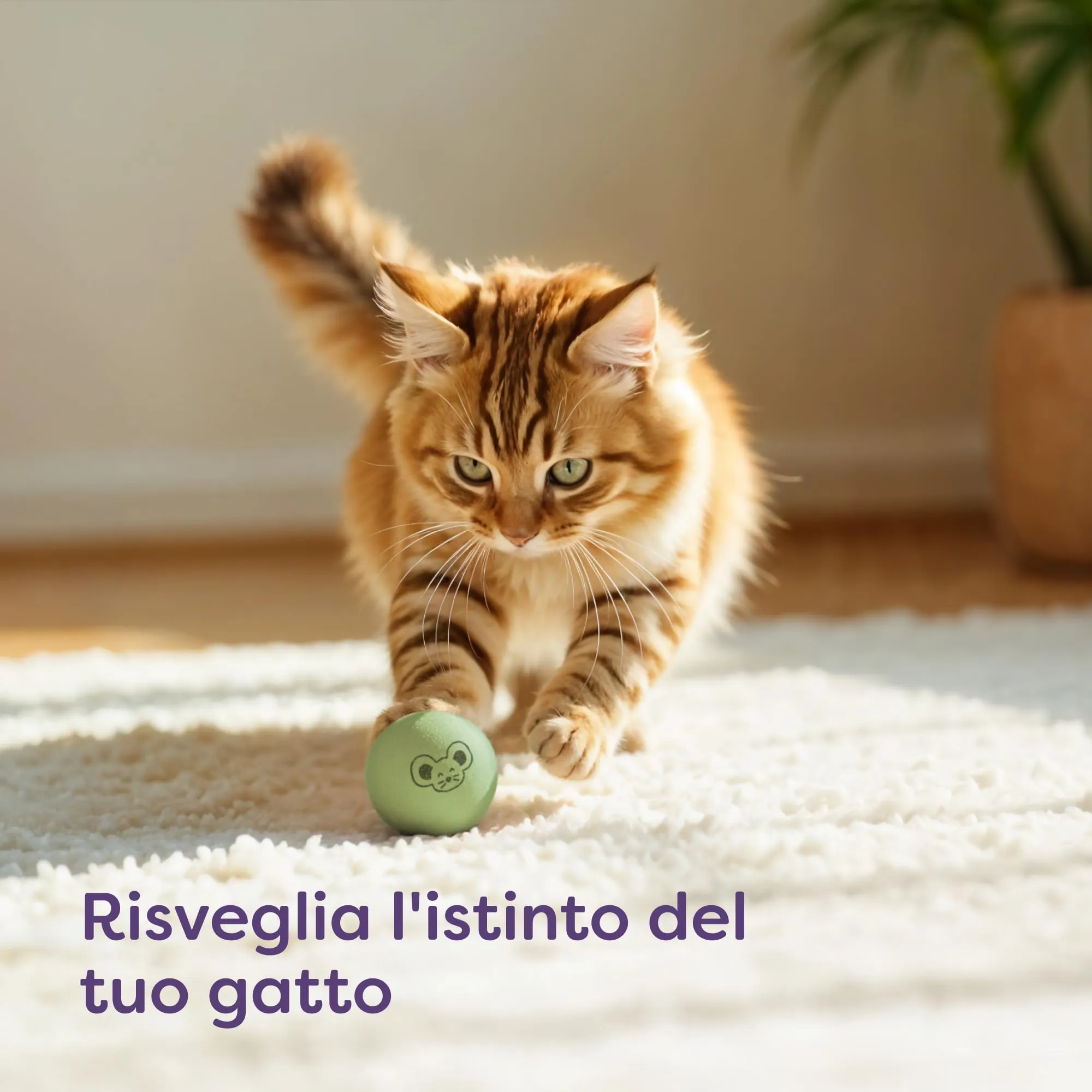 Knupis Giocattoli Palline di Feltro Per Gatti con Campanelli - 4 Palline di Lana - Robusto e resistente ai morsi Con Colori Vivaci - Incl. Sacchetto Di Conservazione - Giocattolo Gatto - immagine 2