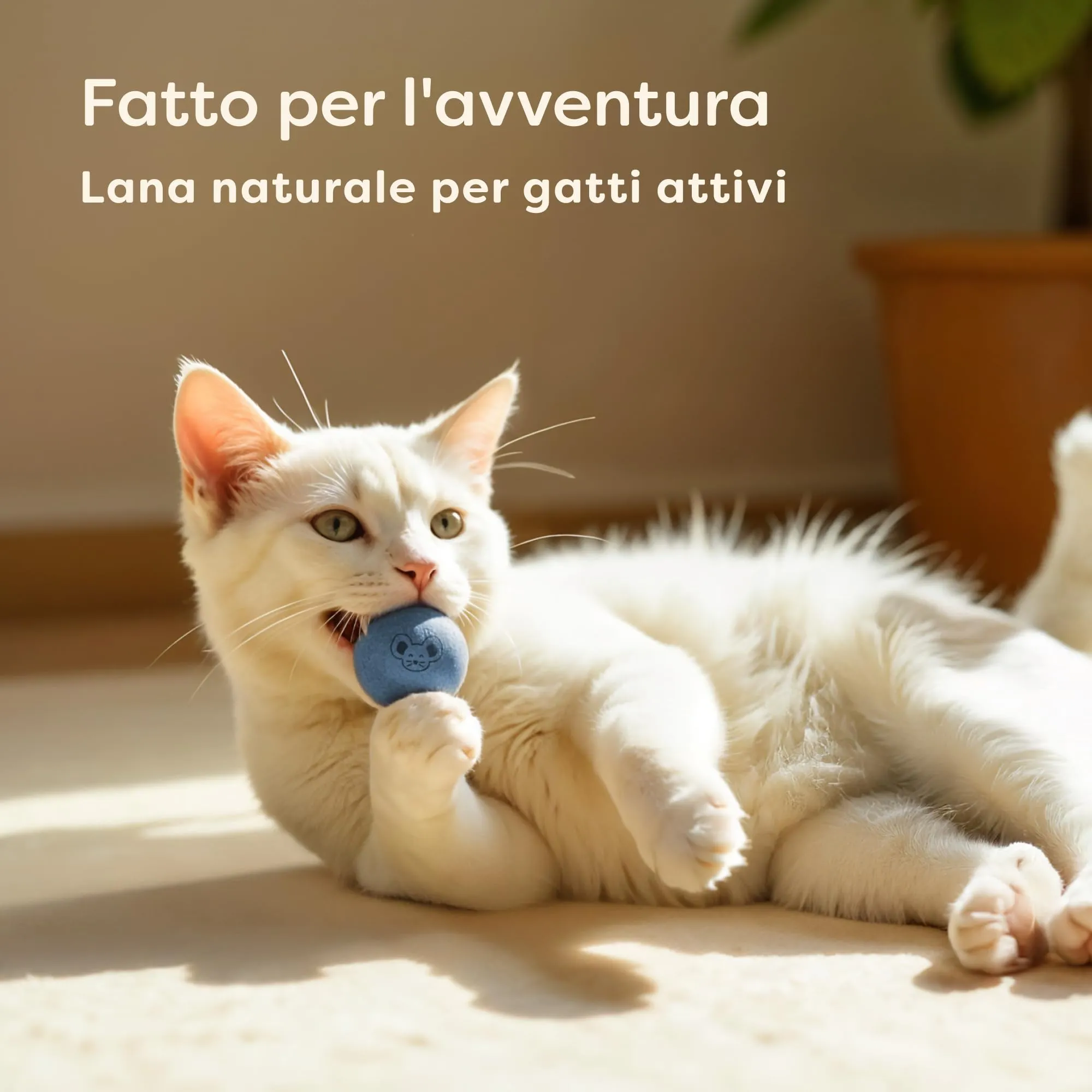 Knupis Giocattoli Palline di Feltro Per Gatti con Campanelli - 4 Palline di Lana - Robusto e resistente ai morsi Con Colori Vivaci - Incl. Sacchetto Di Conservazione - Giocattolo Gatto - immagine 6