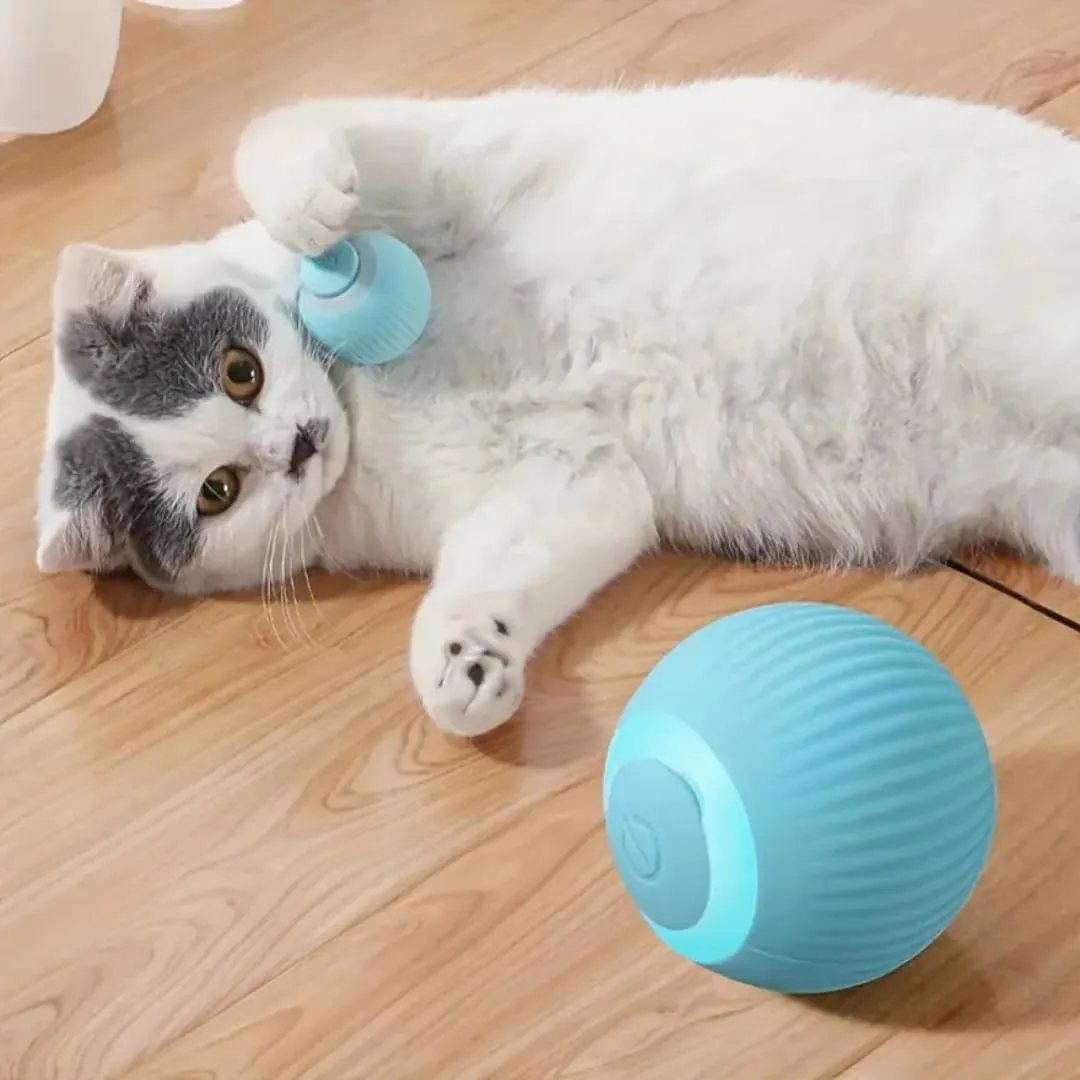 PARENCE. - Palla interattiva per gatti e cani – Ricaricabile USB – 2 Modalità Automatica & Manuale – Rotazione Intelligente – Luce LED morbida – Anti-Stress & Anti-Noia - immagine 5