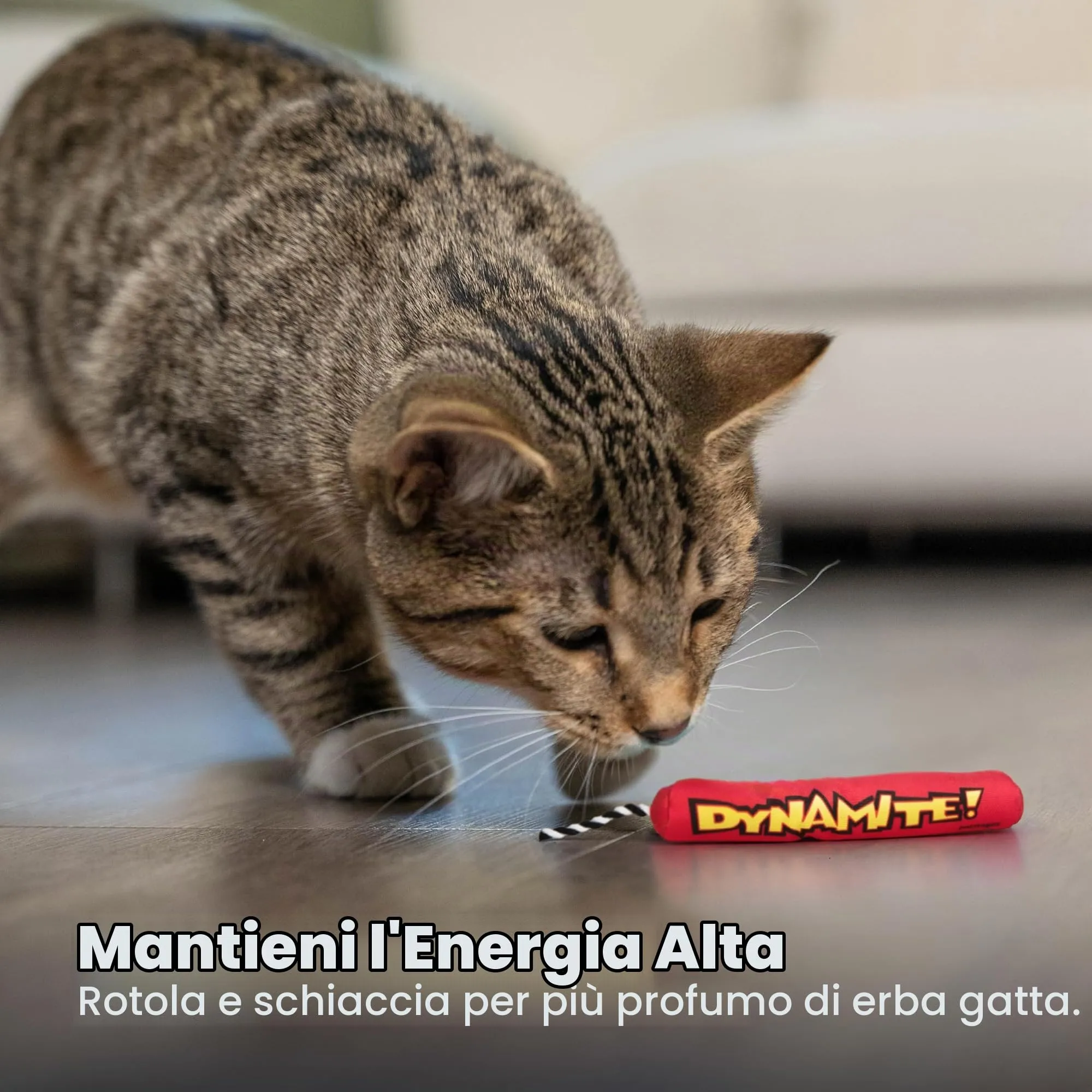 Catstages Petstages Dinamite Magica Verde Giocattolo per Gatti con Erba gatta e Pipistrello - immagine 6