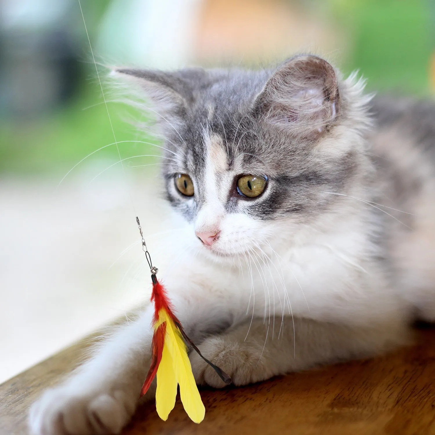 Pawaboo Feather Teaser Cat Toy, 7PCS Extensible Interactive Feather Wand - immagine 7