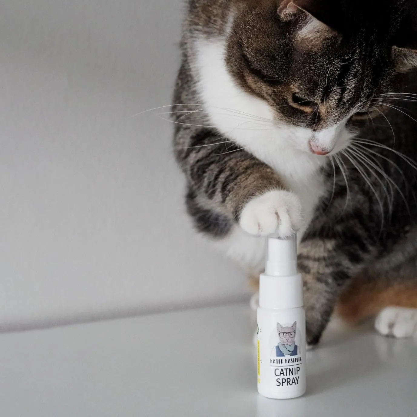 Kater Kasimir Spray all'erba gatta per tiragraffi, 100% naturale, senza additivi, spray all'erba gatta - immagine 2