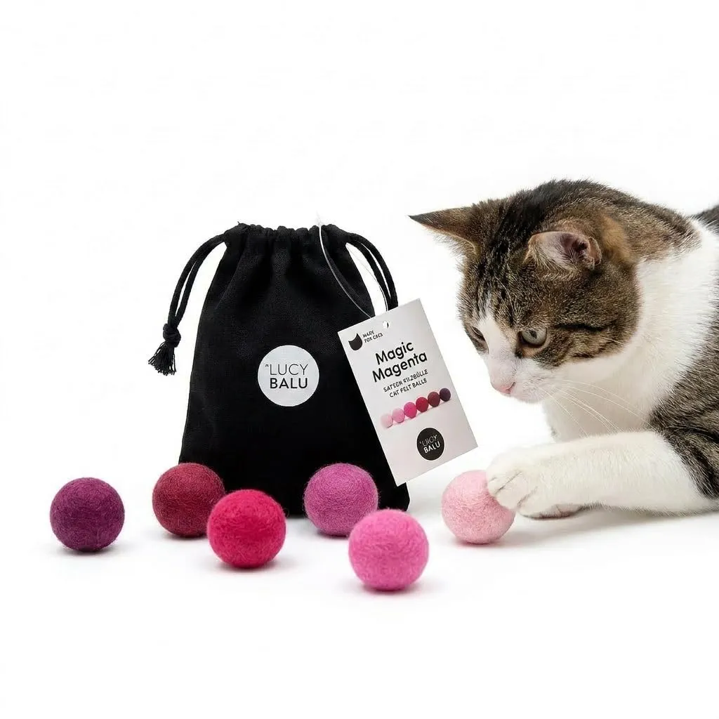 LucyBalu® Viva Set 6 palline in feltro di lana per gatti I Magenta - immagine 1