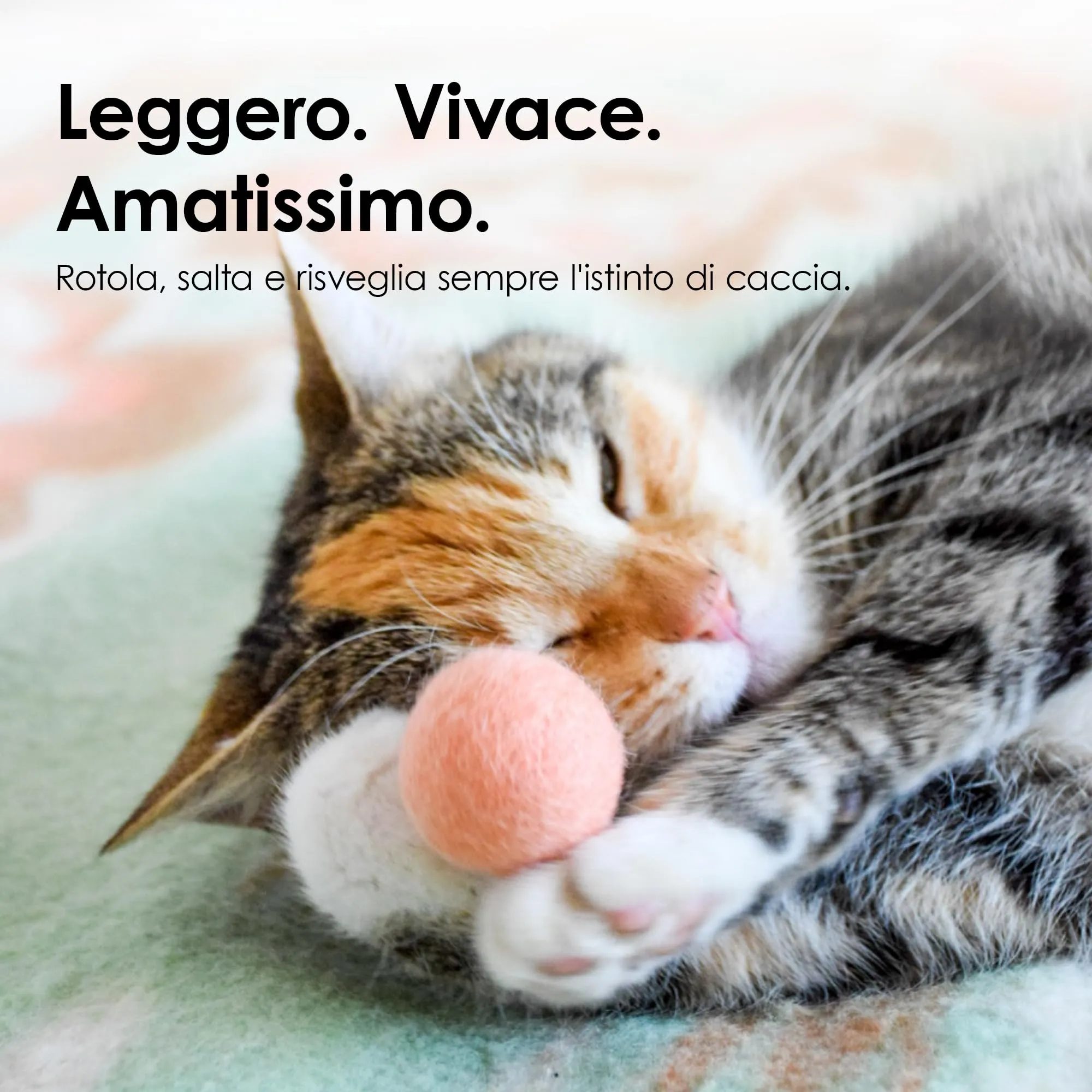 LucyBalu® Viva Set 6 palline in feltro di lana per gatti I Magenta - immagine 2