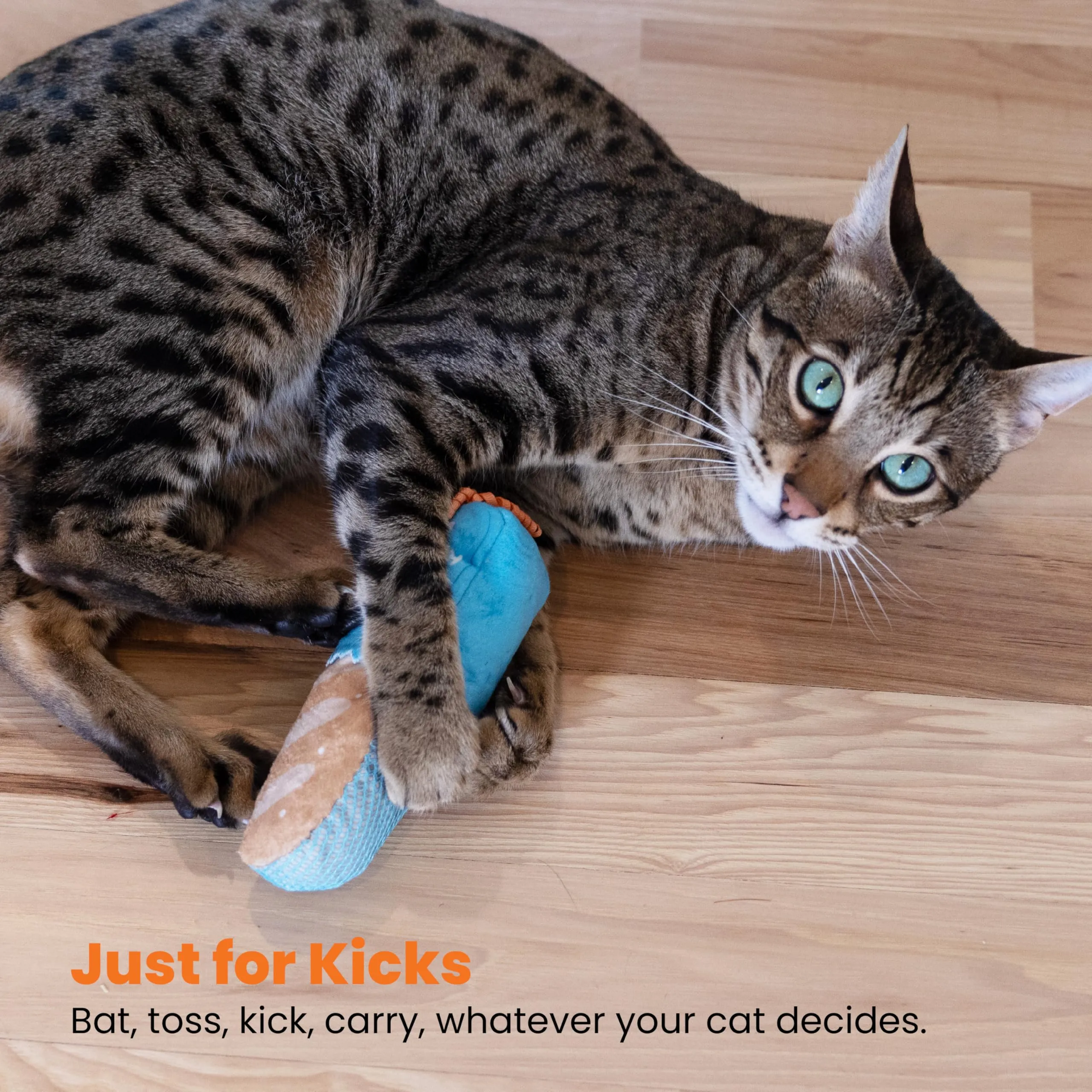Catstages Giocattolo a forma di erba gatta e giocattolo dentale per gatti a tema pane divertente erba gatta ripieno Kicker giocattolo, marrone chiaro - immagine 6