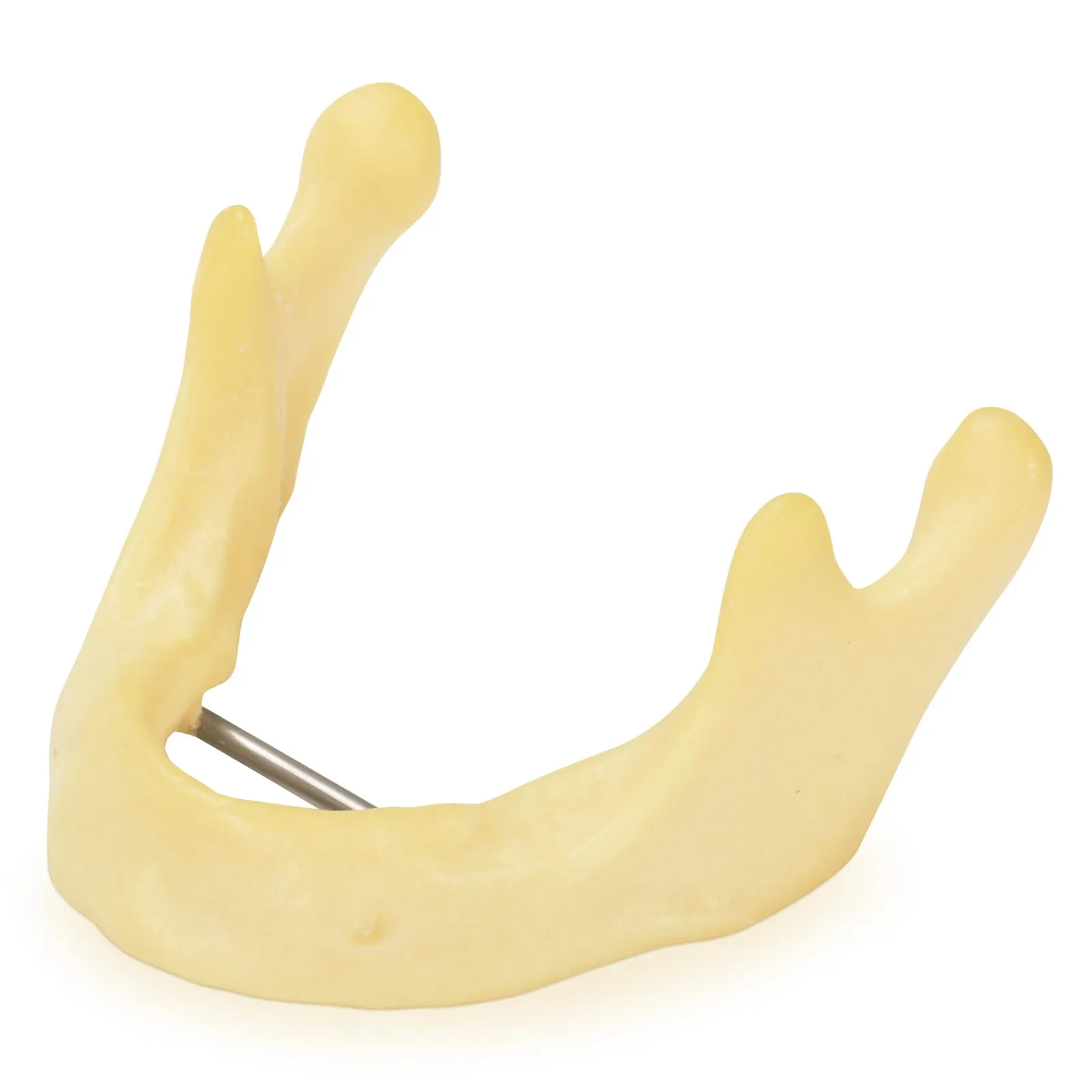 Ultrassist - Mandibola per pratica di perforazione, modello di formazione per impianti di base per studenti della scuola dentale, grande dentatura per la pratica dentale dell'impianto dentale - immagine 1