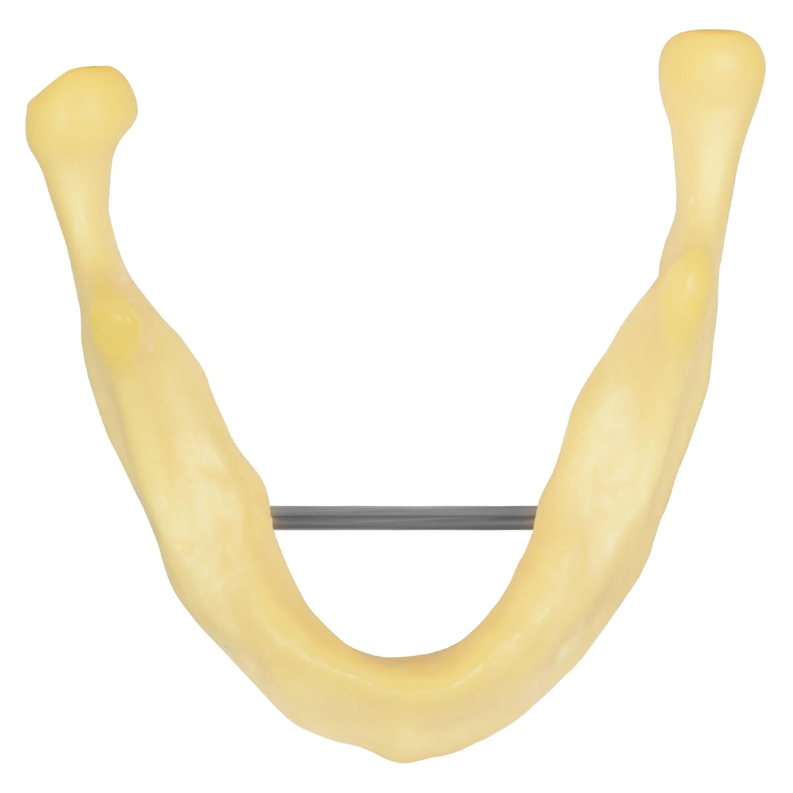 Ultrassist - Mandibola per pratica di perforazione, modello di formazione per impianti di base per studenti della scuola dentale, grande dentatura per la pratica dentale dell'impianto dentale - immagine 2