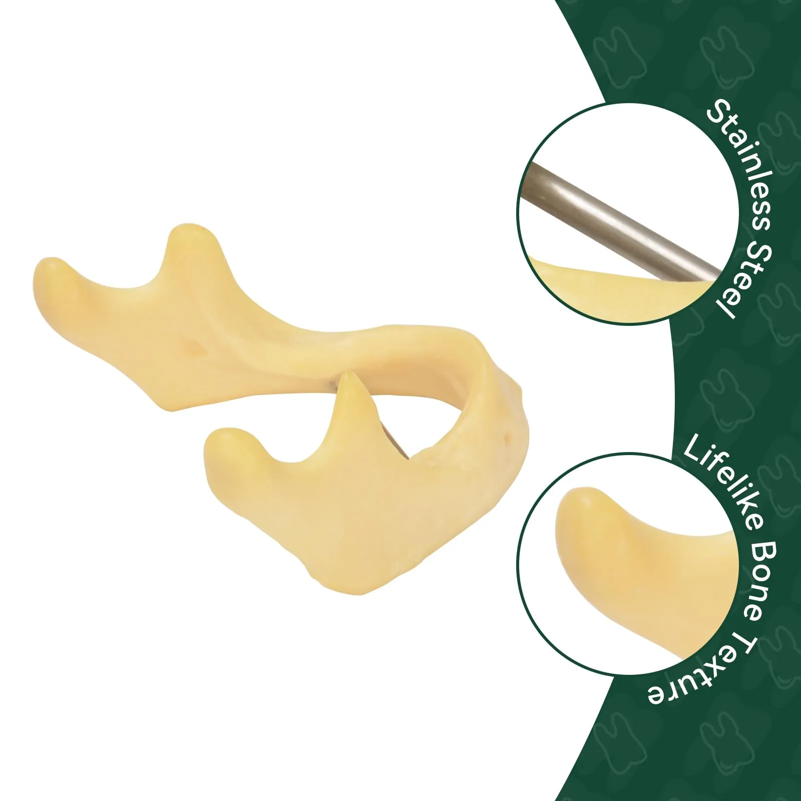 Ultrassist - Mandibola per pratica di perforazione, modello di formazione per impianti di base per studenti della scuola dentale, grande dentatura per la pratica dentale dell'impianto dentale - immagine 3