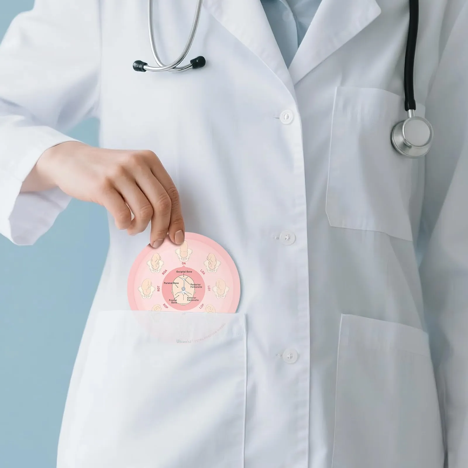 Ultrassist Strumento di posizione fetale per ostetriche, di piccole dimensioni, 13 cm, ruota di posizione fetale per ostetriche, doula e ostetrici, strumento educativo per il parto per studenti di - immagine 3
