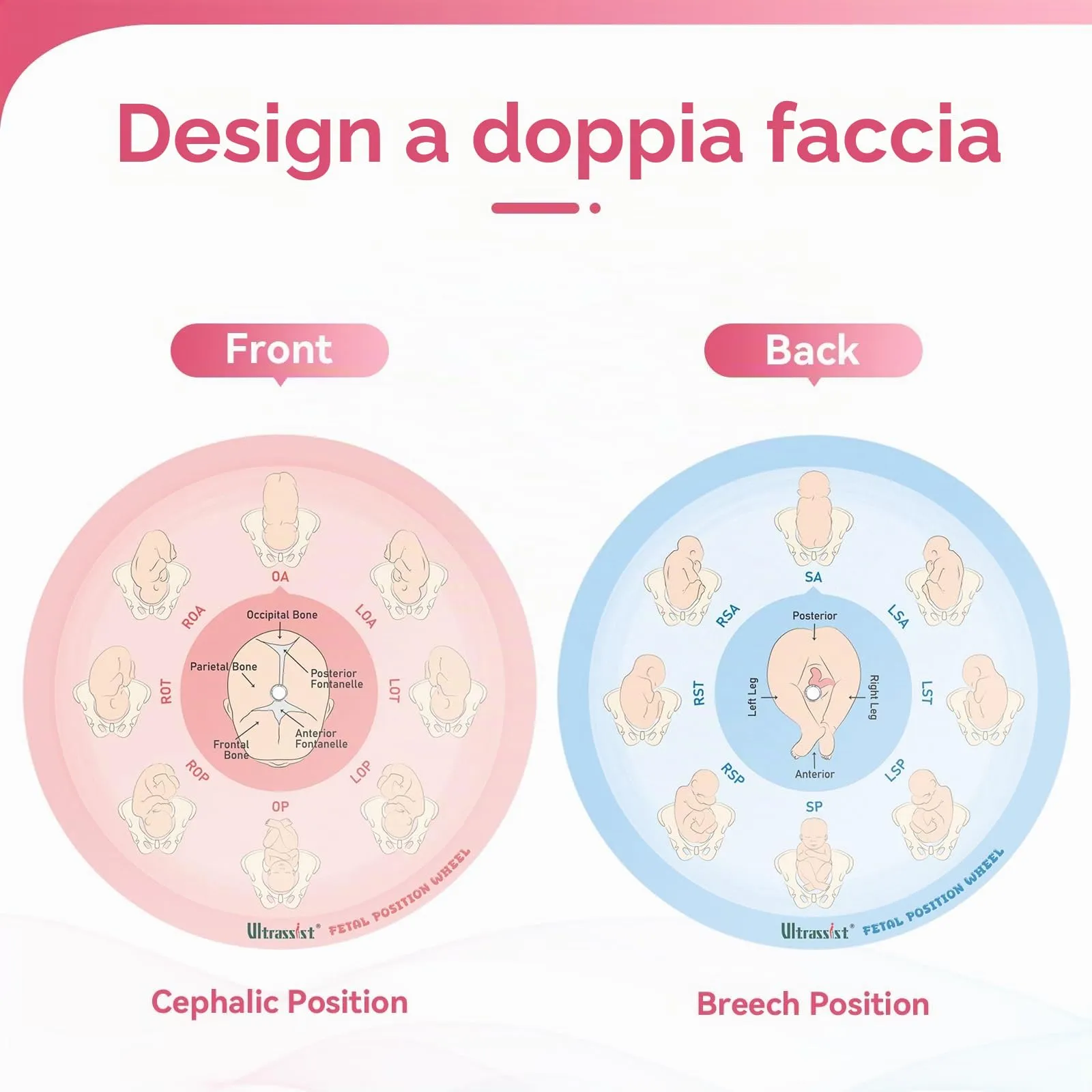 Ultrassist Strumento di posizione fetale per ostetriche, di piccole dimensioni, 13 cm, ruota di posizione fetale per ostetriche, doula e ostetrici, strumento educativo per il parto per studenti di - immagine 4