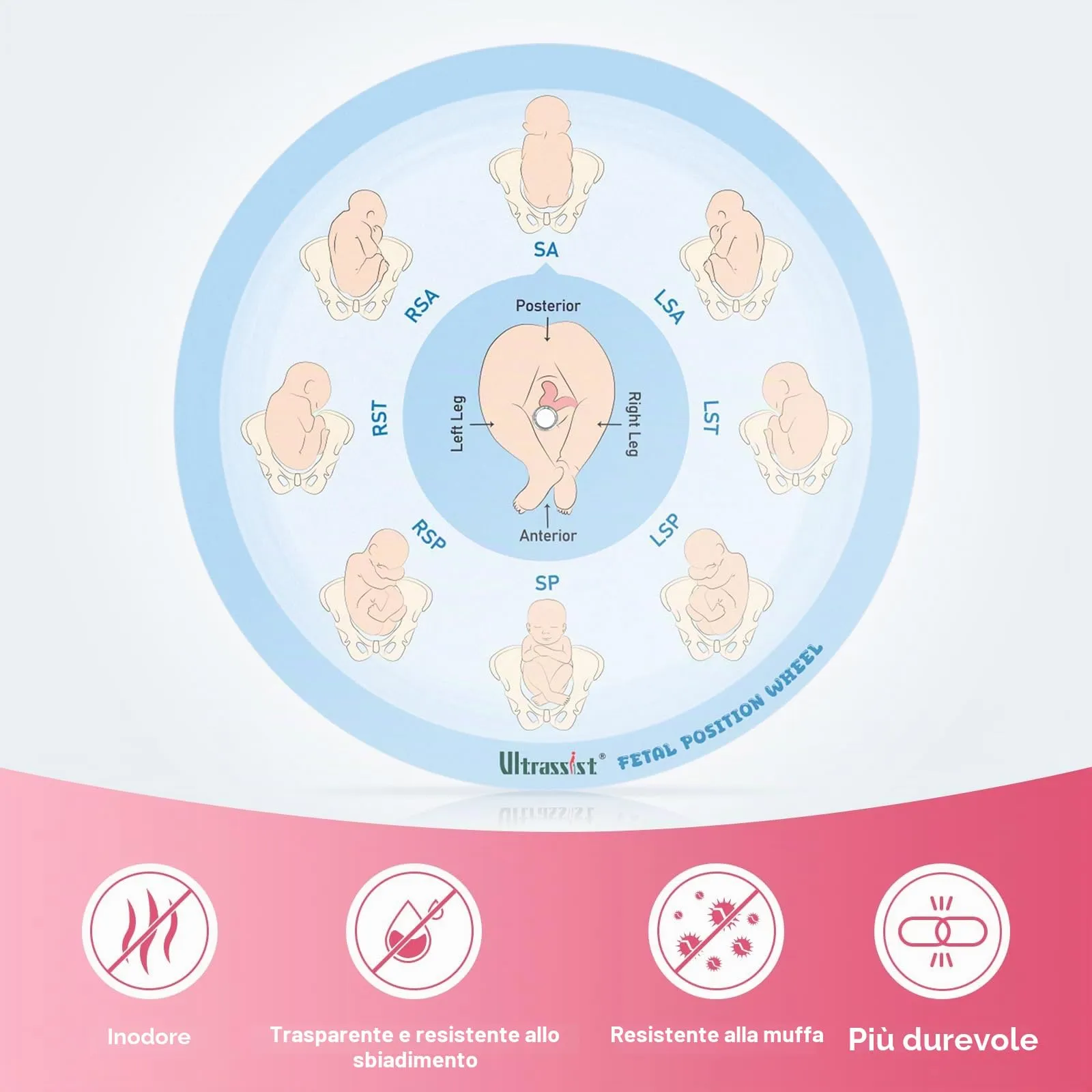 Ultrassist Strumento di posizione fetale per ostetriche, di piccole dimensioni, 13 cm, ruota di posizione fetale per ostetriche, doula e ostetrici, strumento educativo per il parto per studenti di - immagine 6