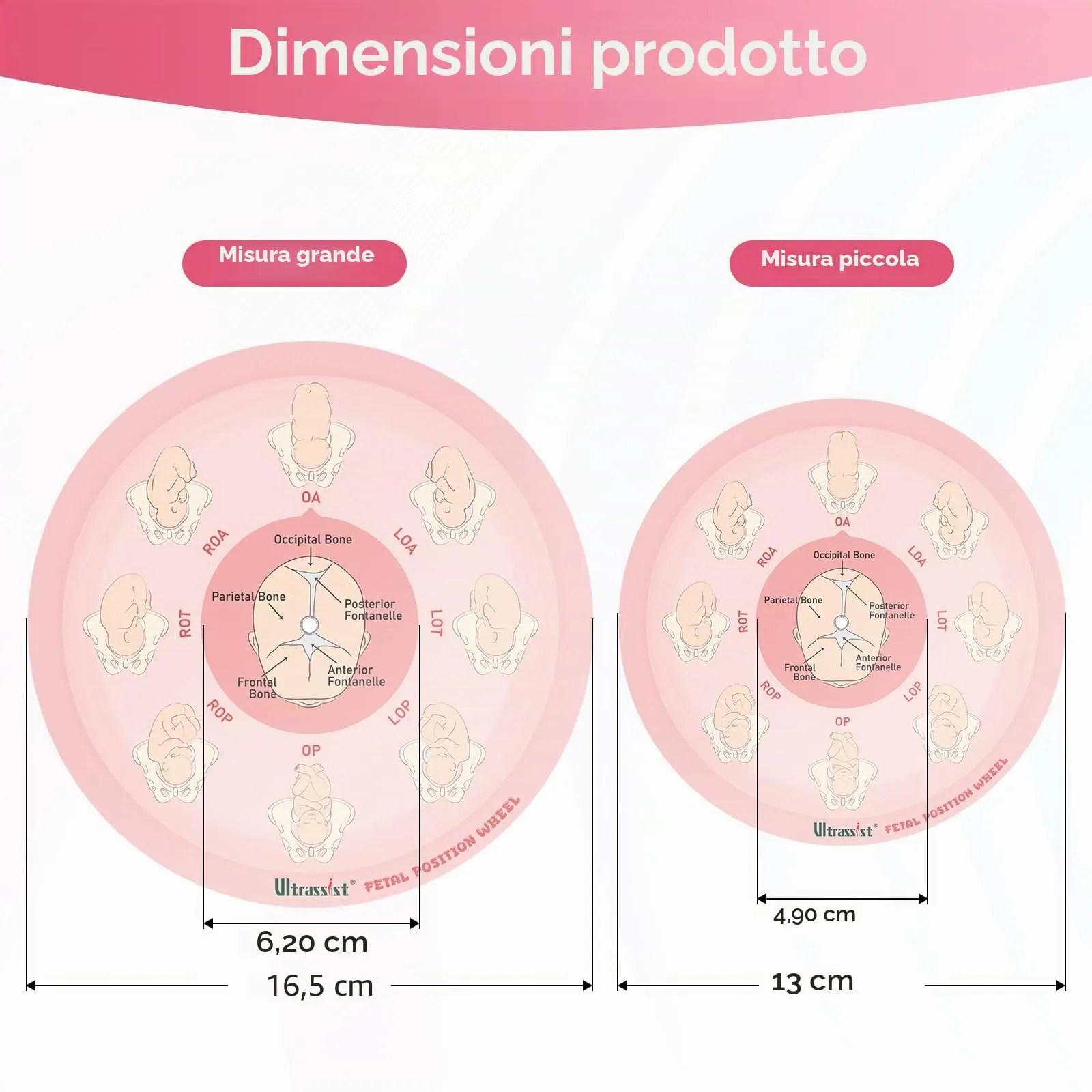 Ultrassist Strumento di posizione fetale per ostetriche, di piccole dimensioni, 13 cm, ruota di posizione fetale per ostetriche, doula e ostetrici, strumento educativo per il parto per studenti di - immagine 7