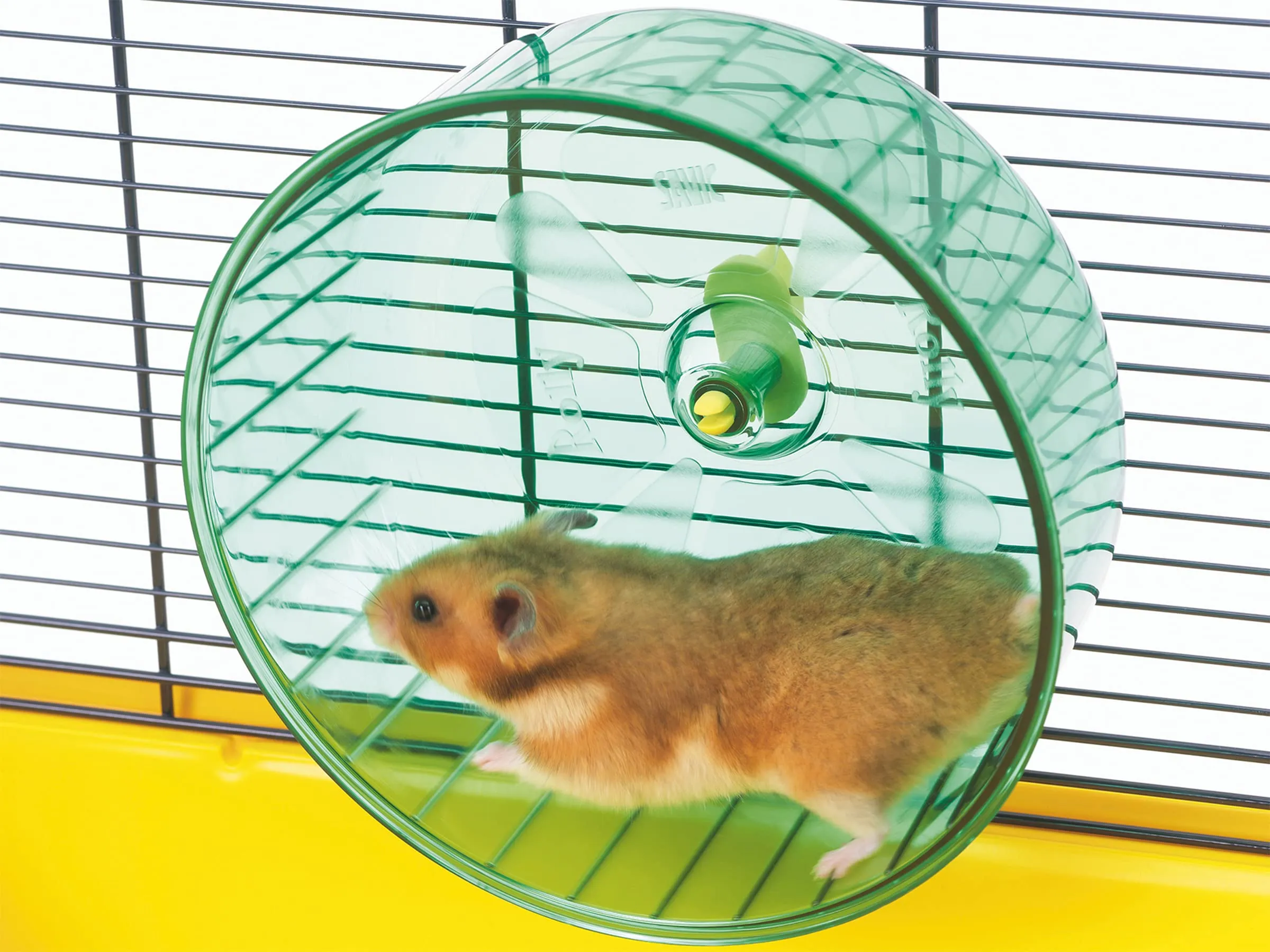 Unbekannt Nobby 25309 - Mulinello per Criceto Jumbo Wheel - immagine 8