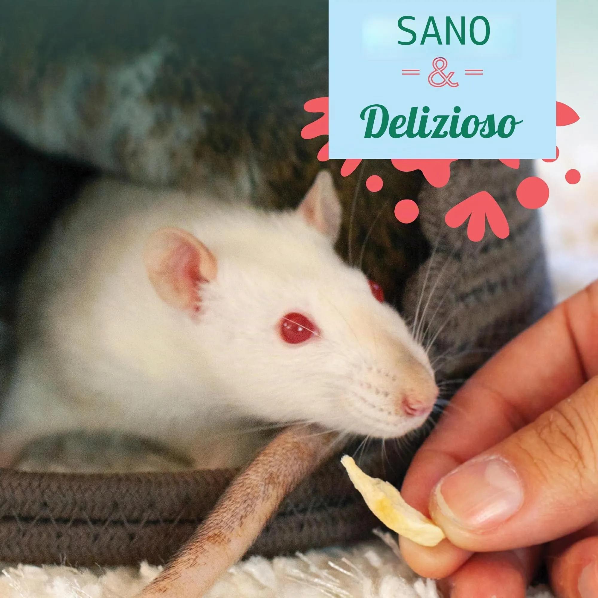 TREAT BANANA 30 GR - immagine 6