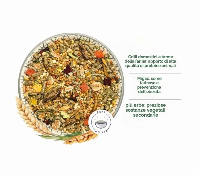 Bunny RennmausTraum Basic 600 g - immagine 3