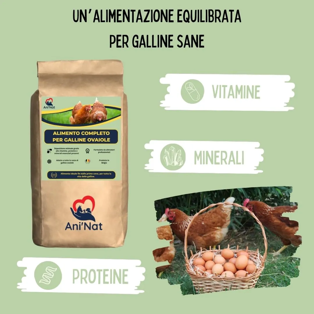 Ani'Nat Mangime per galline ovaiole senza OGM – Con oli essenziali – Miscela grossolanamente macinata – Nutrizione completa per deposizione e vitalità delle galline (5kg) - immagine 4