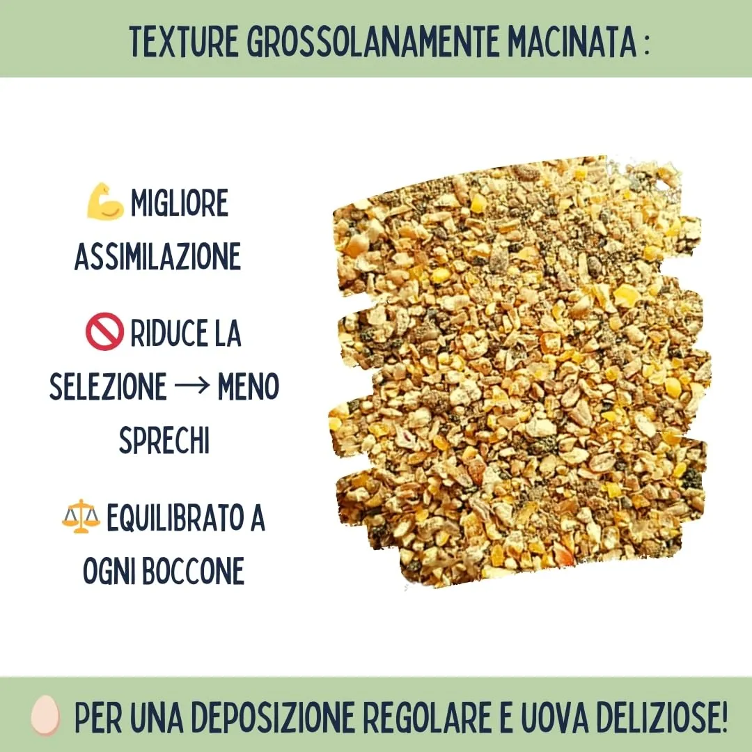 Ani'Nat Mangime per galline ovaiole senza OGM – Con oli essenziali – Miscela grossolanamente macinata – Nutrizione completa per deposizione e vitalità delle galline (5kg) - immagine 6