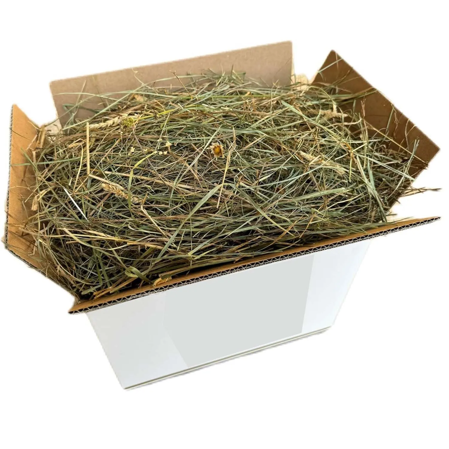 Fieno Naturale per Conigli 15 Kg | Balla di Fieno Italiano di Prato di Montagna Essiccato al Sole | Alimento per Porcellini d’India, Cincillà, Conigli Nani, Cavalli, Polli e Roditori - immagine 1