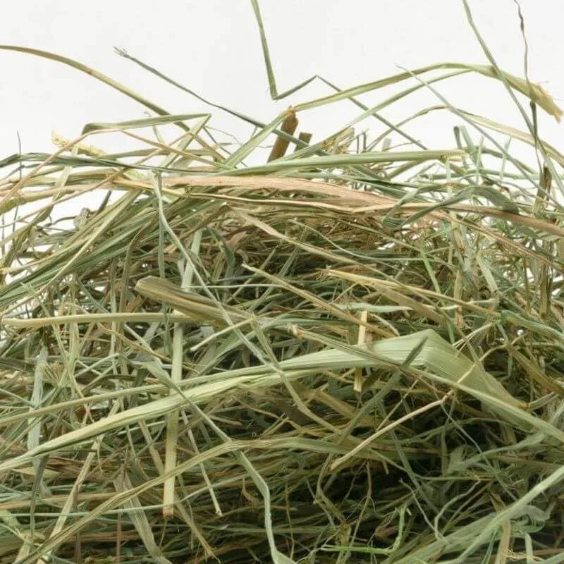 Fieno Naturale di Prato di Alta Montagna 5 kg - Made in Italy (Basilicata) | Per Conigli, Conigli Nani, Cavie, Cincillà e Roditori Erbivori | Senza Erba Medica, Ricco di Erbe Aromatiche - immagine 2