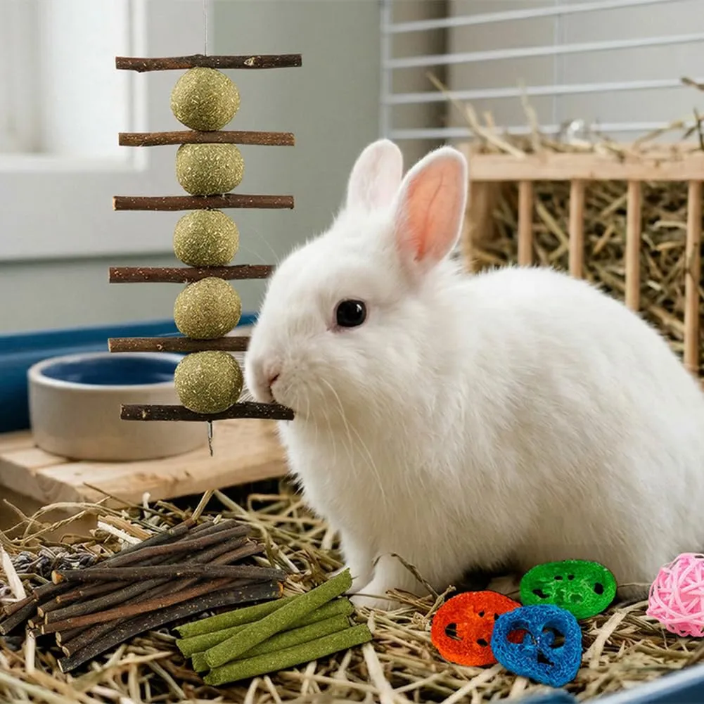 OFFCUP 22 PCS Masticabili, Piccoli Animali Giocattoli, per Gerbilli - immagine 6