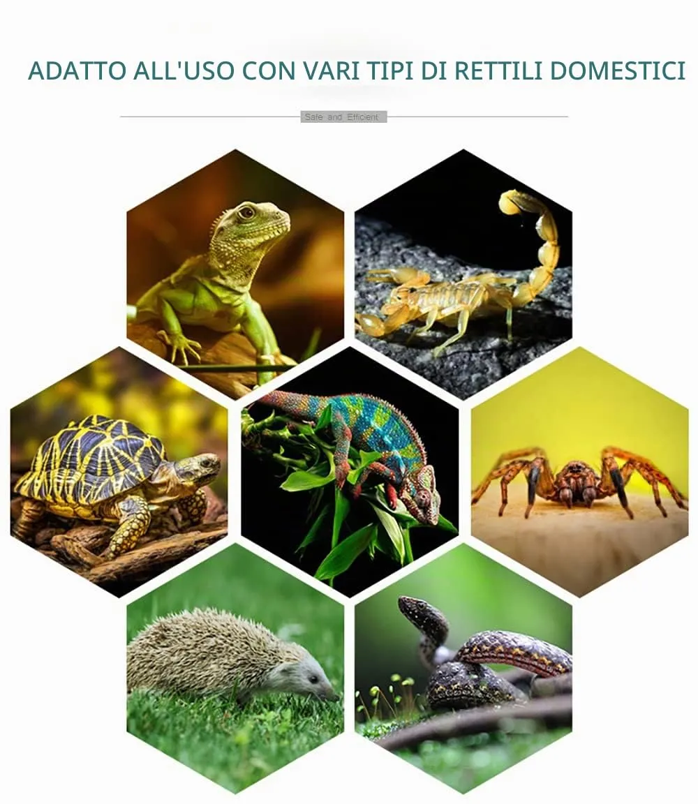 VANSUKY Lampada Riscaldante in Ceramica da 50W per Rettili-Riscaldatore per Terrario per Lucertole, Dragoni Barbuti, Serpenti e Altri Rettili-Nessuna Emissione di Luce-Attacco E27-220V - immagine 8