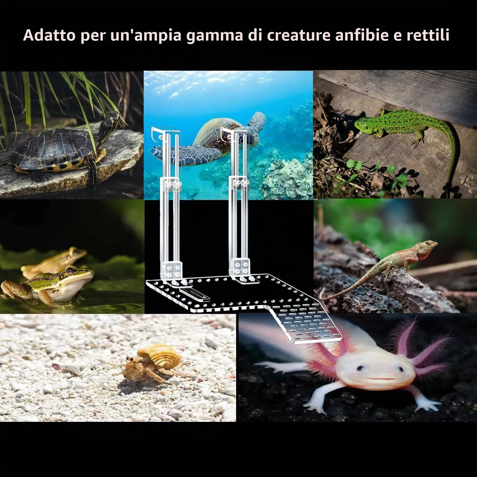 QeeHeng Piattaforma per Crogiolarsi per Tartarughe in Acrilico, Super Trasmissione della Luce, Habitat Con Ripiano da Arrampicata, Accessori (XL) - immagine 7