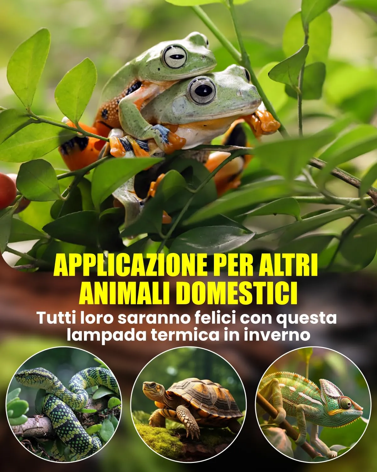 BrightArk Lampada Riscaldante uvb Tartarughe con 2 Lampadine UVA/UVB da 50W Regolabili a 360° Lampada per Anfibi Adatto per Tartaruga, Ragno, Lucertola, Serpente, Anfibi, Cockatoo, Chameleon - immagine 7