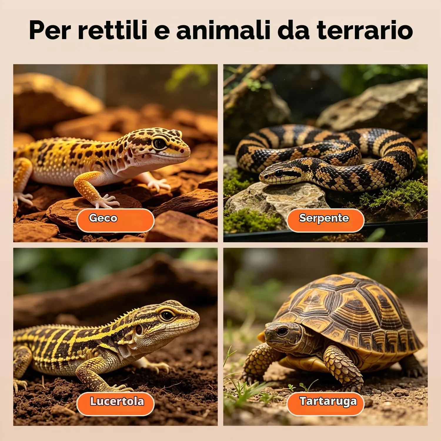 Nobleza Tappetino Riscaldante per Rettili 10 Livelli Temperatura, 7W Piastra Termica per Terrari, 28x15cm Auto-Riscaldamento Termostato per Tartarughe/Gecko/Serpenti/Anfibi/Lucertole - immagine 7