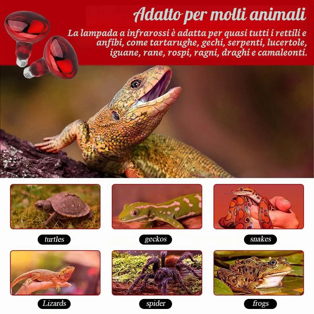 SKIKHN Lampada Infrarossi Riscaldante, 2 Pezzi 100W Reptile Lampade Riscaldante, E27 Lampade Infrarossi, Lampada per Tartarughe di Terra, Lampadine Riscaldanti per Tartarughe Lucertole, Rettili - immagine 6