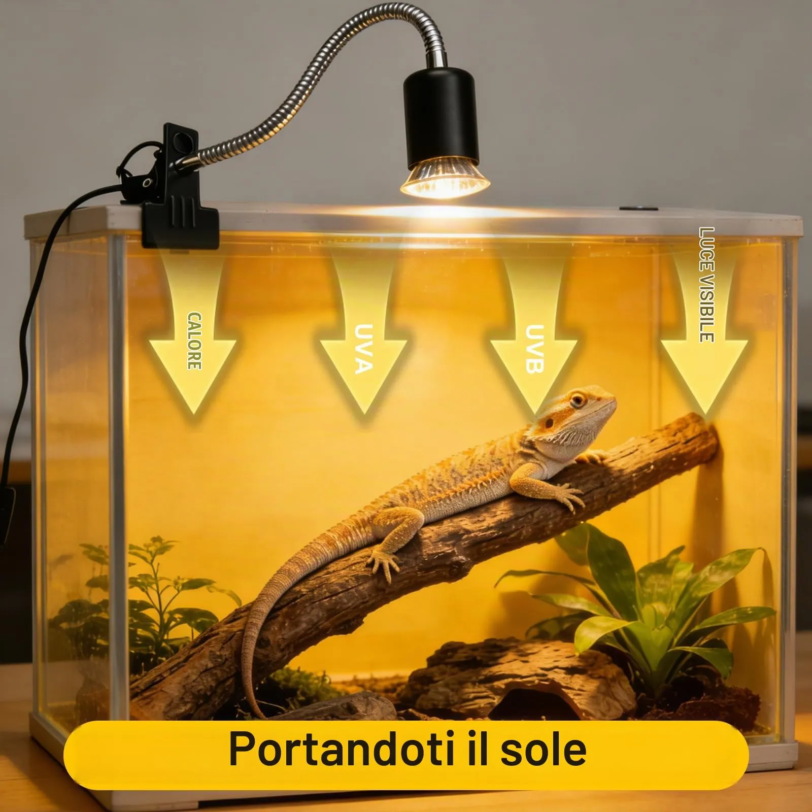 LedWekei 2 pezzi Lampada riscaldante per tartarughe, terrario, 75 W, UVA/UVB, per rettili, con attacco E27, adatta per tartarughe, draghi barbuti, lucertole e serpenti - immagine 4