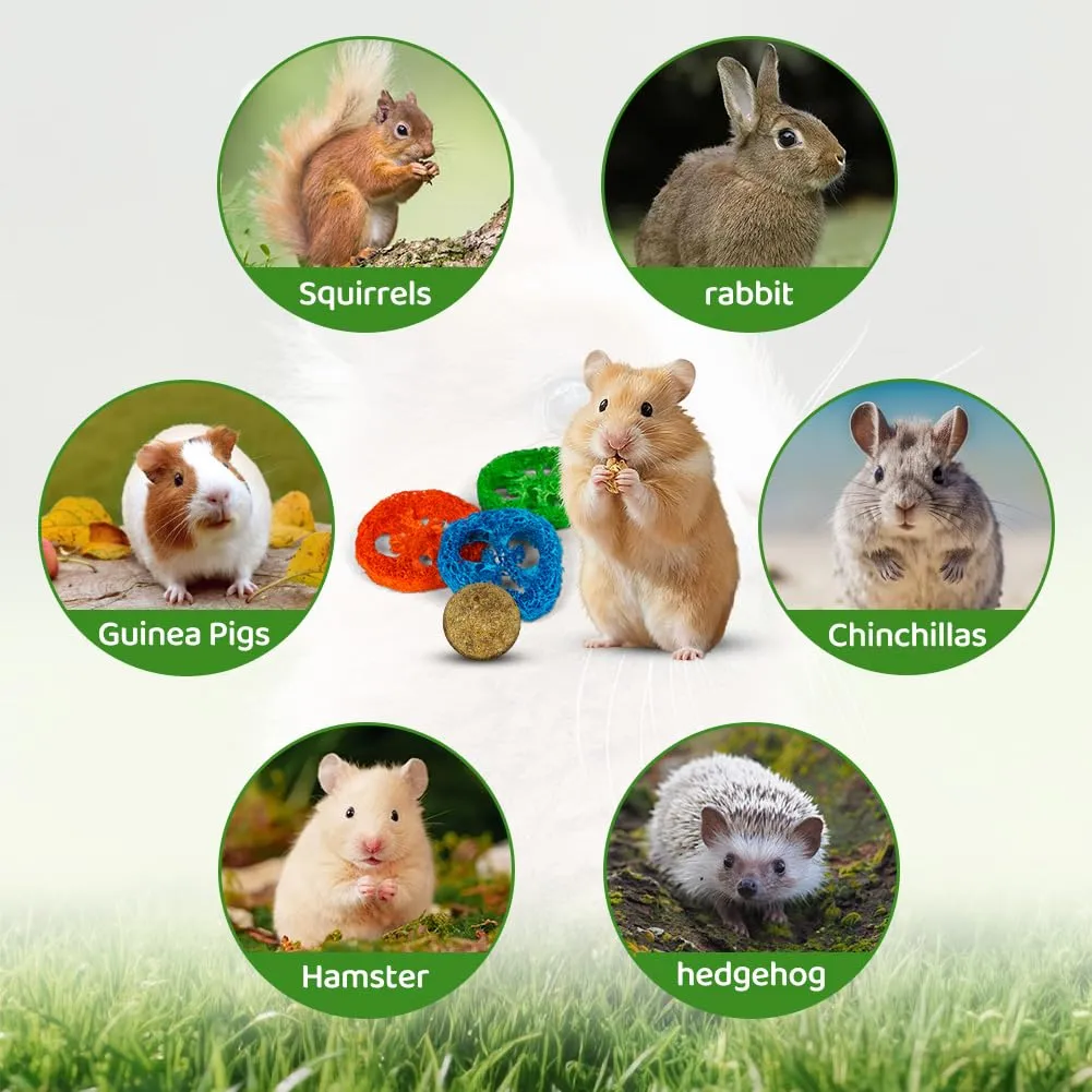 OFFCUP 16 PCS Masticabili, Piccoli Animali Giocattoli, per Gerbilli - immagine 4