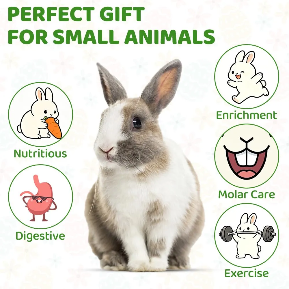 OFFCUP 16 PCS Masticabili, Piccoli Animali Giocattoli, per Gerbilli - immagine 5