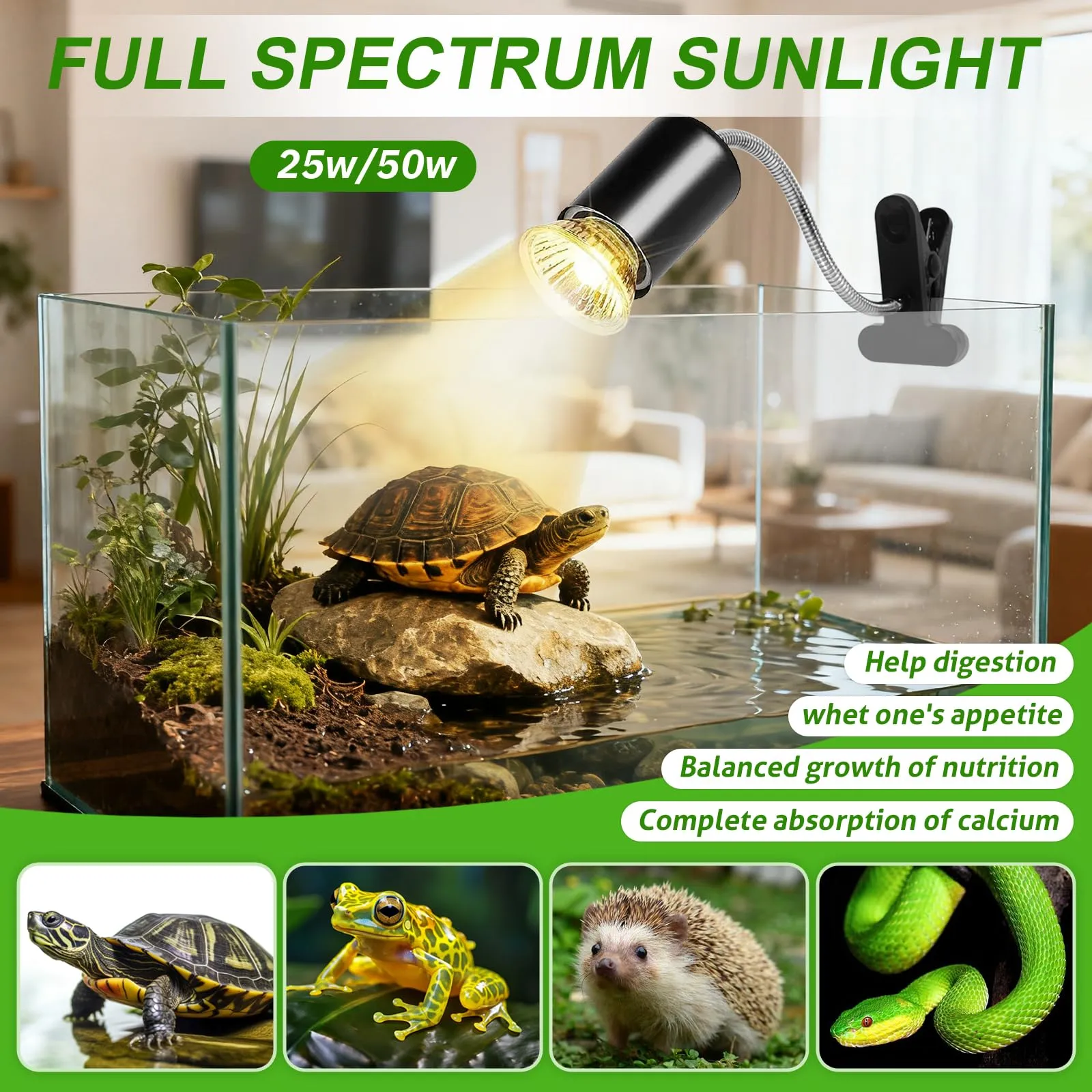 PQETBV Lampada Riscaldante per Rettili, Lampada UVB Tartarughe con 3 Lampadina UVA UVB a Punto Basking e Morsetto Girevole a 360 °Adatto per Rettile, Anfibi, Tartaruga, Lucertola, Serpente, Camaleonti - immagine 5