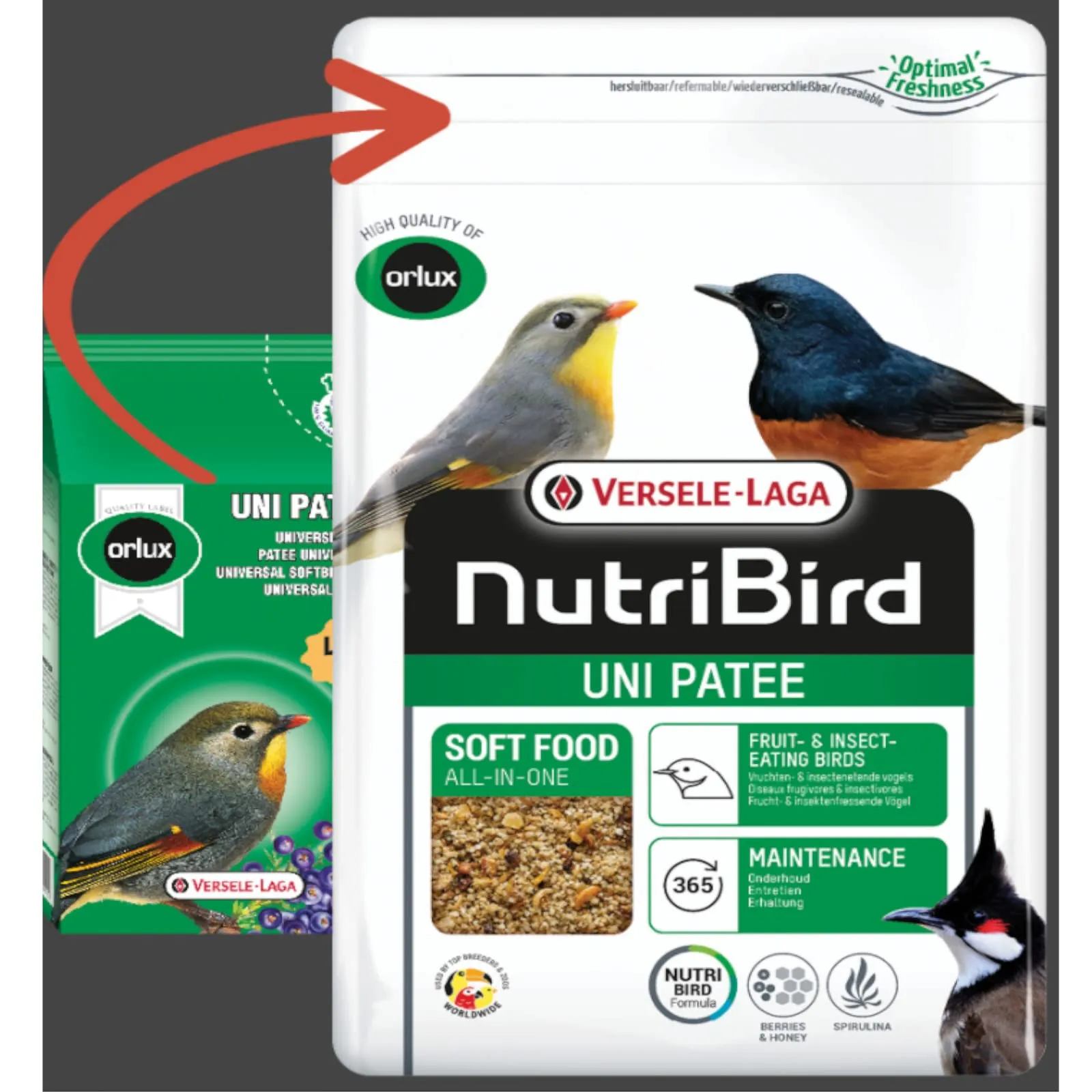 Orlux UNIPATE' Insettivori - 1 kg - immagine 1