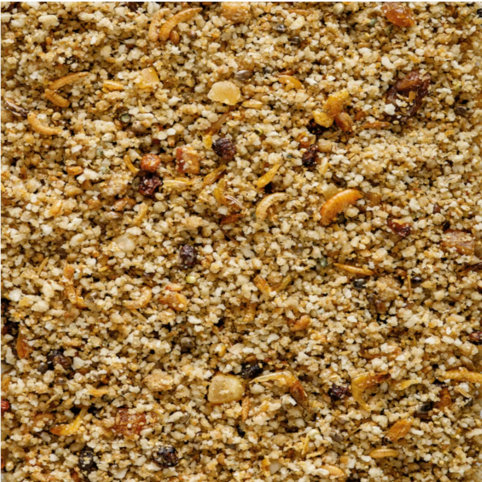 Orlux UNIPATE' Insettivori - 1 kg - immagine 2