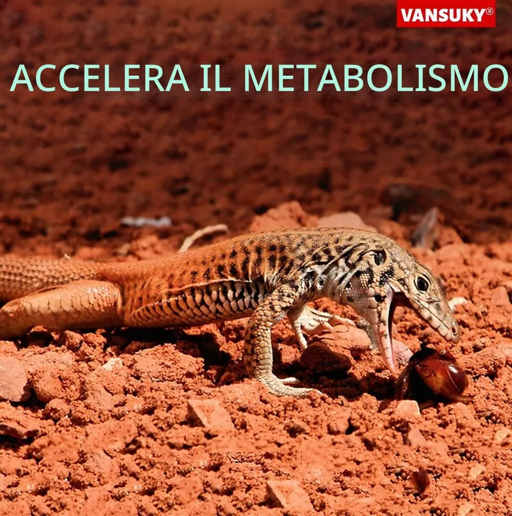 VANSUKY Lampada Riscaldante in Ceramica da 75W per Rettili-Riscaldatore per Terrario per Lucertole, Dragoni Barbuti, Serpenti e Altri Rettili-Nessuna Emissione di Luce-Attacco E27-220V - immagine 8