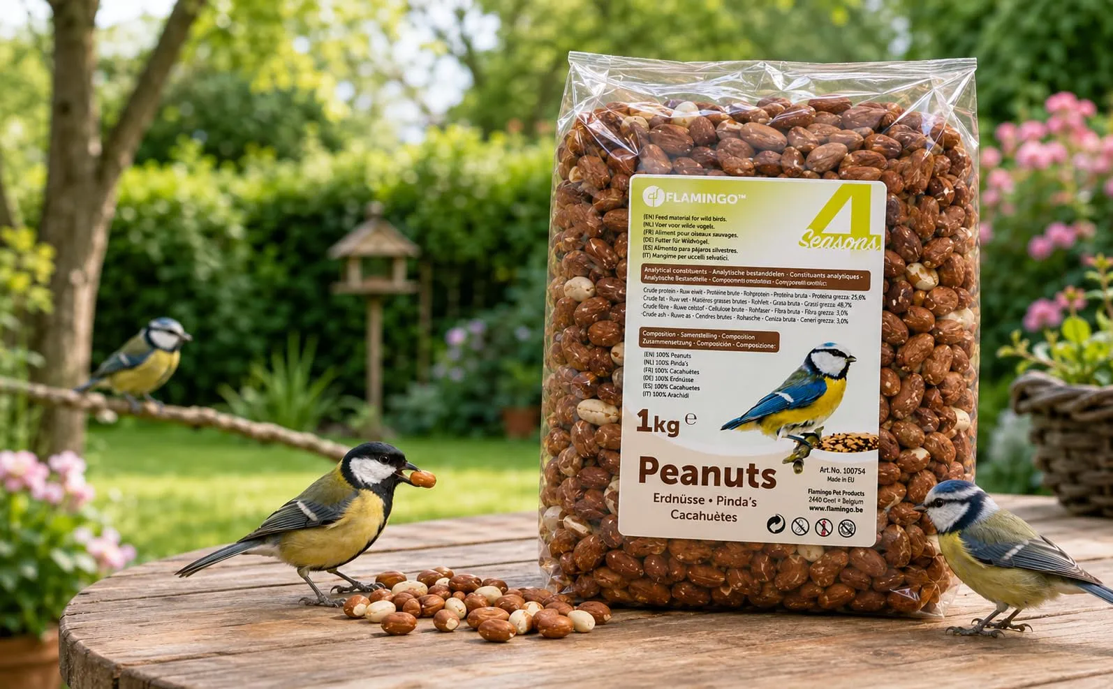 Mangime uccelli selvatici - Qualità premium - arachidi sgusciate - 1kg - immagine 2