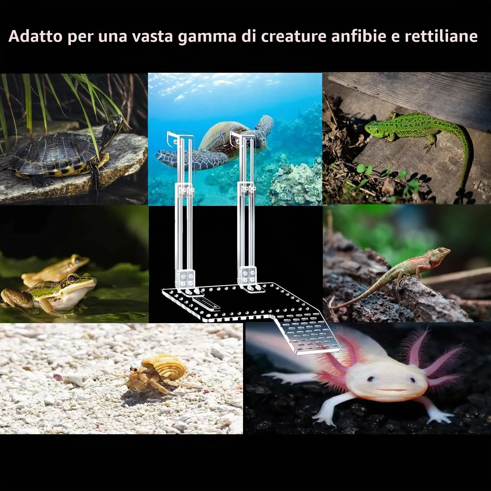 QeeHeng Piattaforma per Crogiolarsi per Tartarughe, Piattaforma in Acrilico per Tartarughe, Super Trasmissione della Luce, Habitat per Tartarughe con Ripiano da Arrampicata, Accessori per (L) - immagine 7