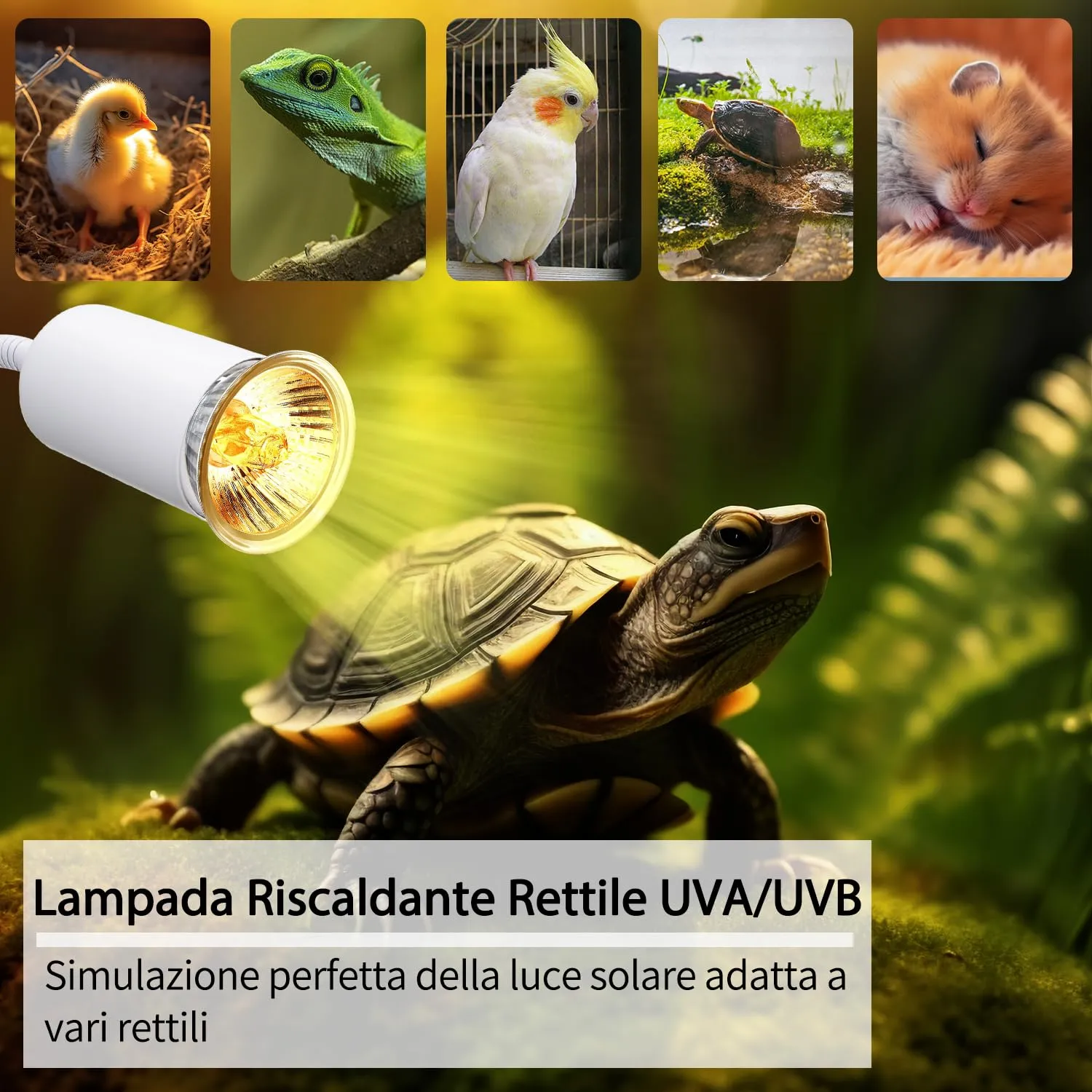 Lampada Rettili Riscaldante, Lampada UVA UVB per Tartarughe di Terra, Lampade Tartarughe Acqua con 240CM Cavo, Portalampada E27 Ceramica con 40CM Flessibile Collo di Cigno per Polli(Senza Lampadina) - immagine 7