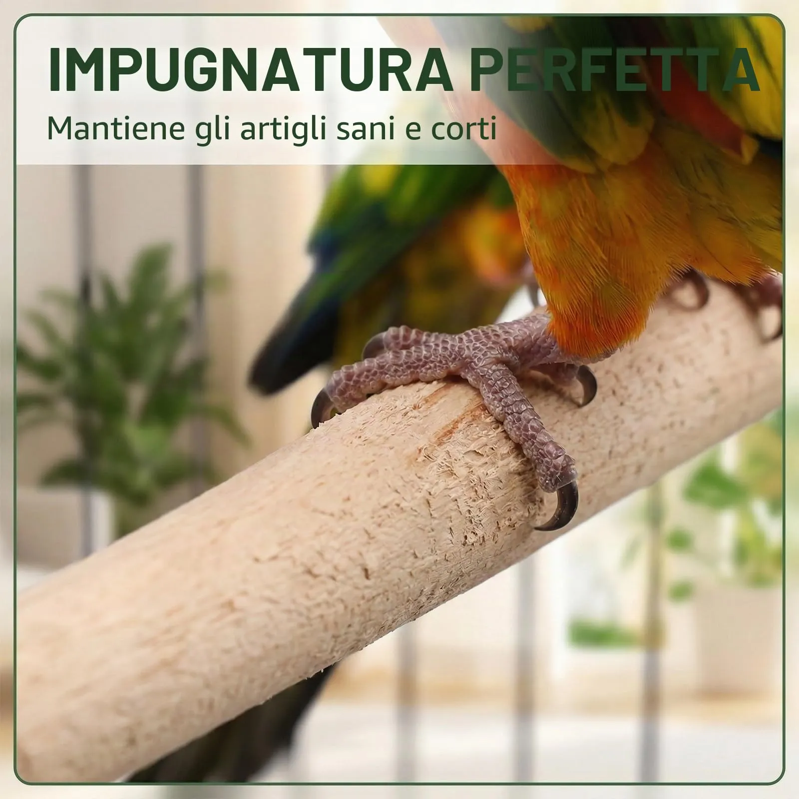 NiceNaiils 8 Pezzi Posatoio per Pappagalli, Trespolo per Pappagalli, Giochi-Pappagalli, Trespolo per Pappagalli per Uccello Giocattolo di Masticare Domestico Piattaforma - immagine 6