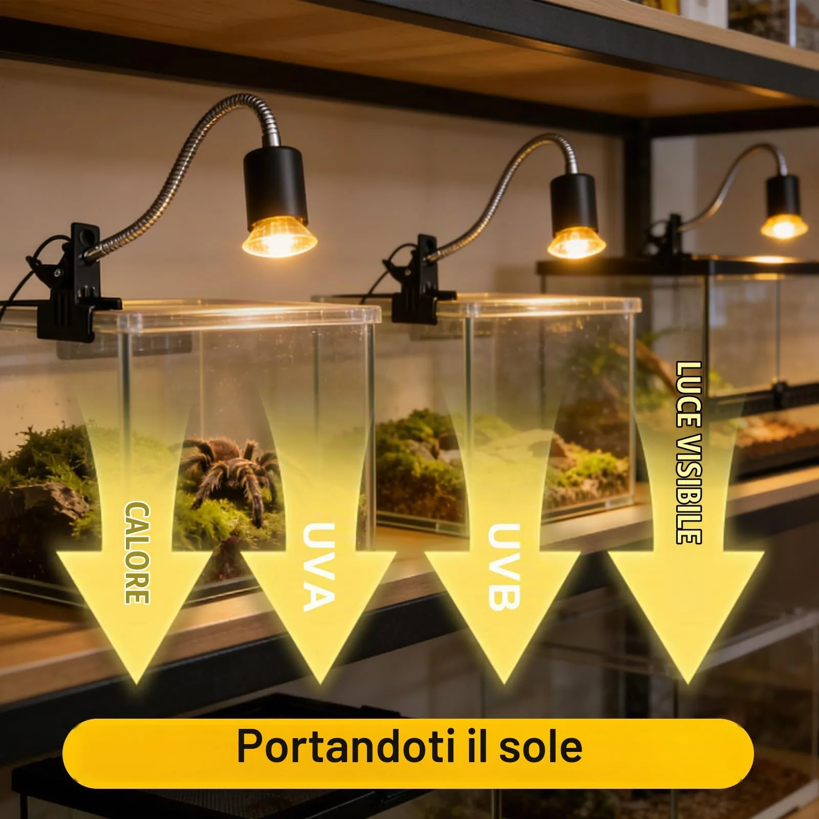 LedWekei 2 pezzi Lampada riscaldante per tartarughe, terrario, 25 W, UVA/UVB, per rettili, con attacco E27, adatta per tartarughe, draghi barbuti, lucertole e serpenti - immagine 7