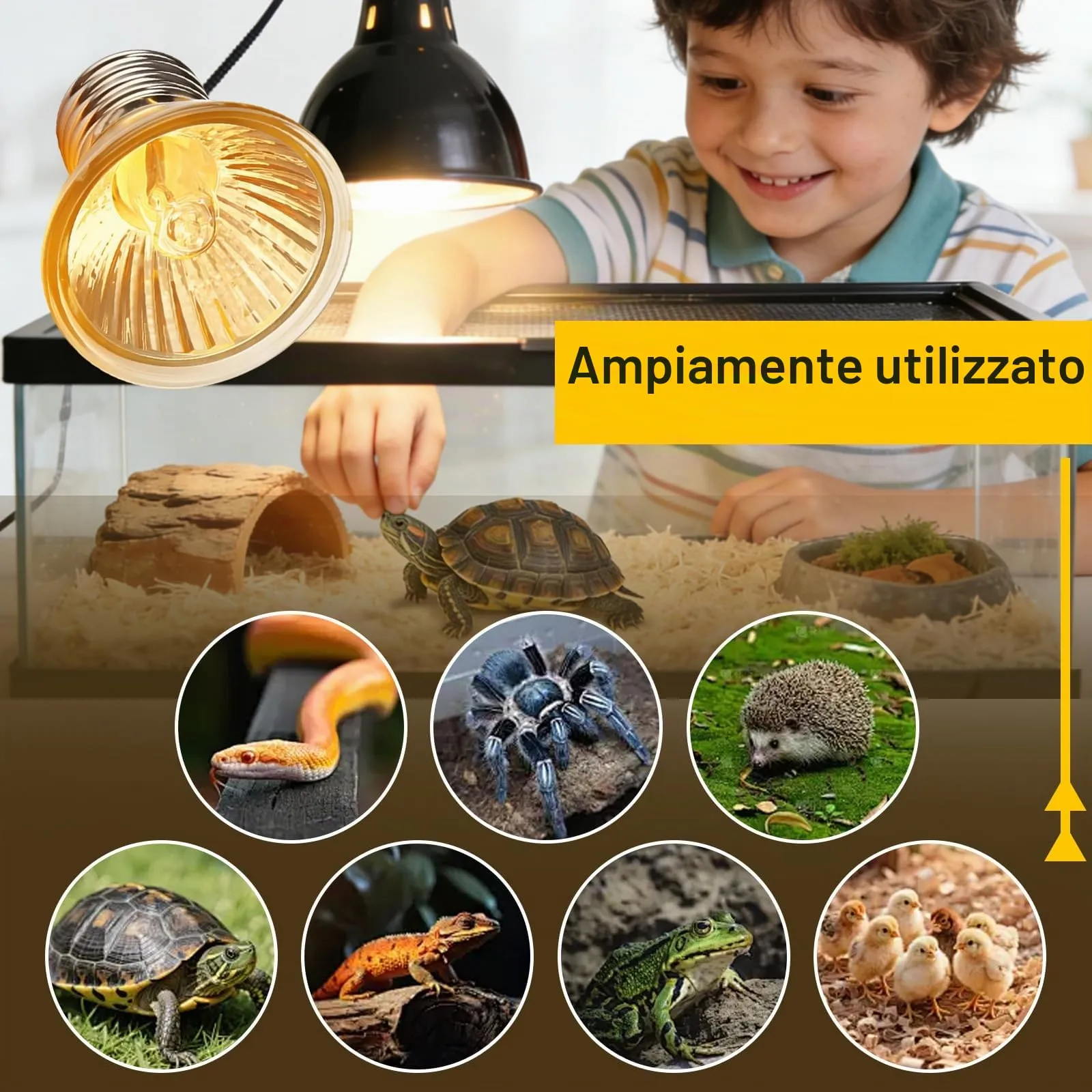 LedWekei 2 pezzi Lampada riscaldante per tartarughe, terrario, 50 W, UVA/UVB, per rettili, con attacco E27, adatta per tartarughe, draghi barbuti, lucertole e serpenti - immagine 6