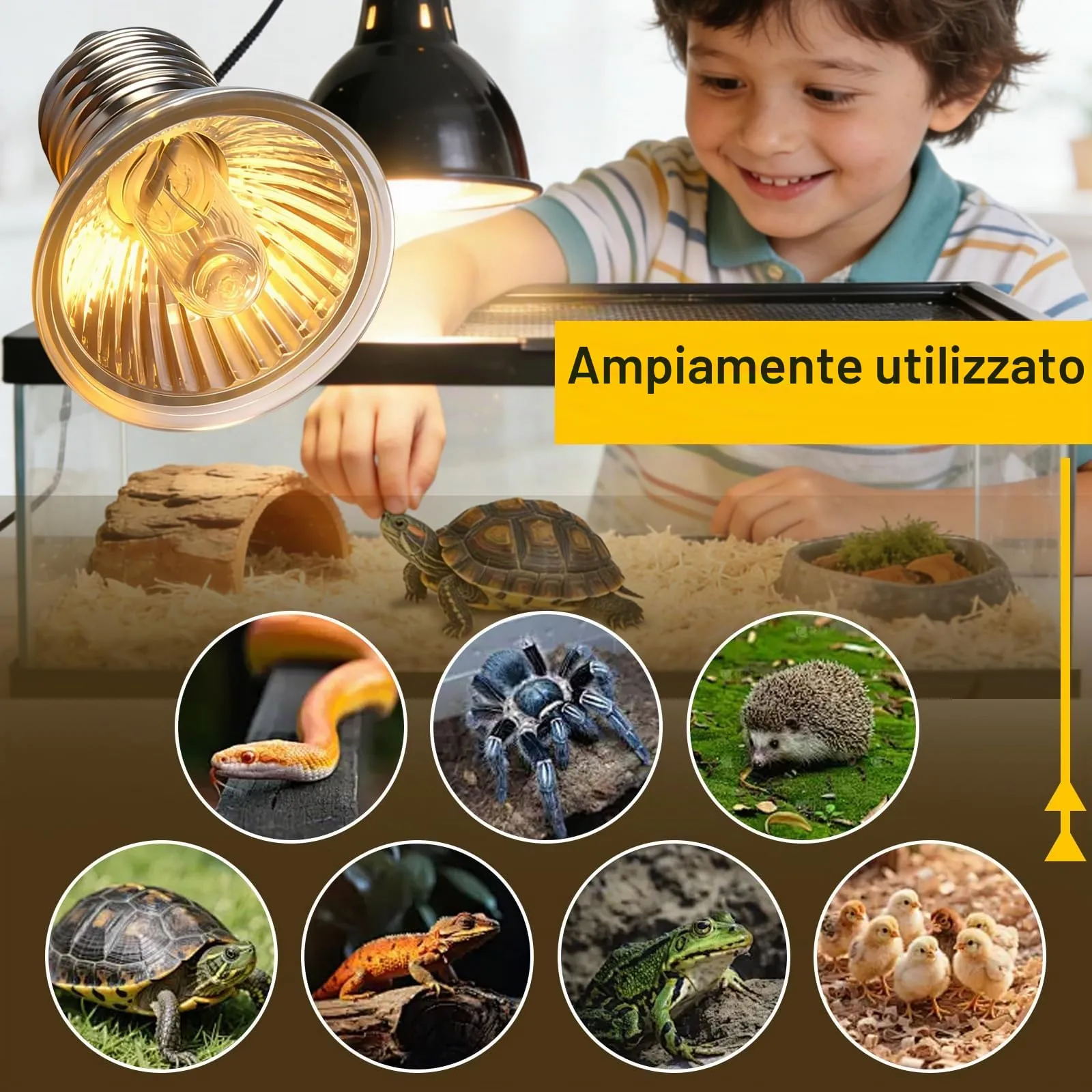 LedWekei 4 pezzi Lampada riscaldante per tartarughe, terrario, 75 W, UVA/UVB, per rettili, con attacco E27, adatta per tartarughe, draghi barbuti, lucertole e serpenti - immagine 3