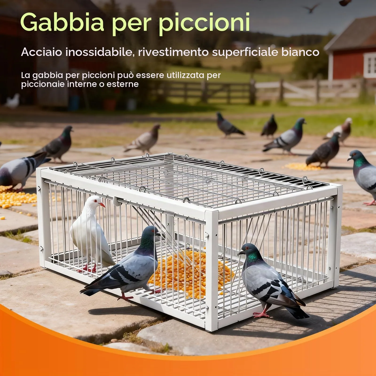 MOGOULUA Gabbia per piccioni, 60 cm, con lucernario aperto superiore, gabbia per uccelli di piccioni, piccioni, piccioni, piccioni, quaglie (bianco) - immagine 2