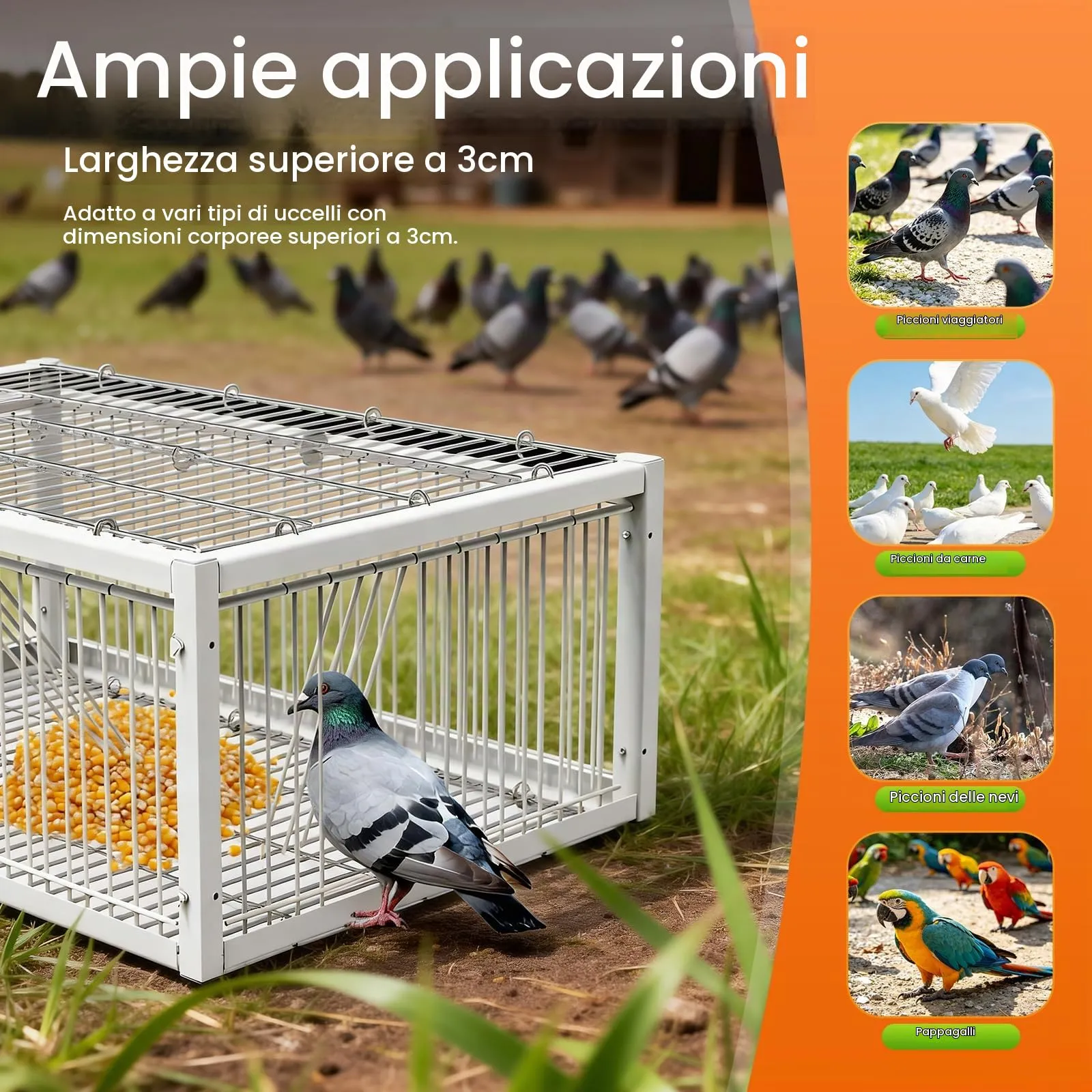 MOGOULUA Gabbia per piccioni, 60 cm, con lucernario aperto superiore, gabbia per uccelli di piccioni, piccioni, piccioni, piccioni, quaglie (bianco) - immagine 4