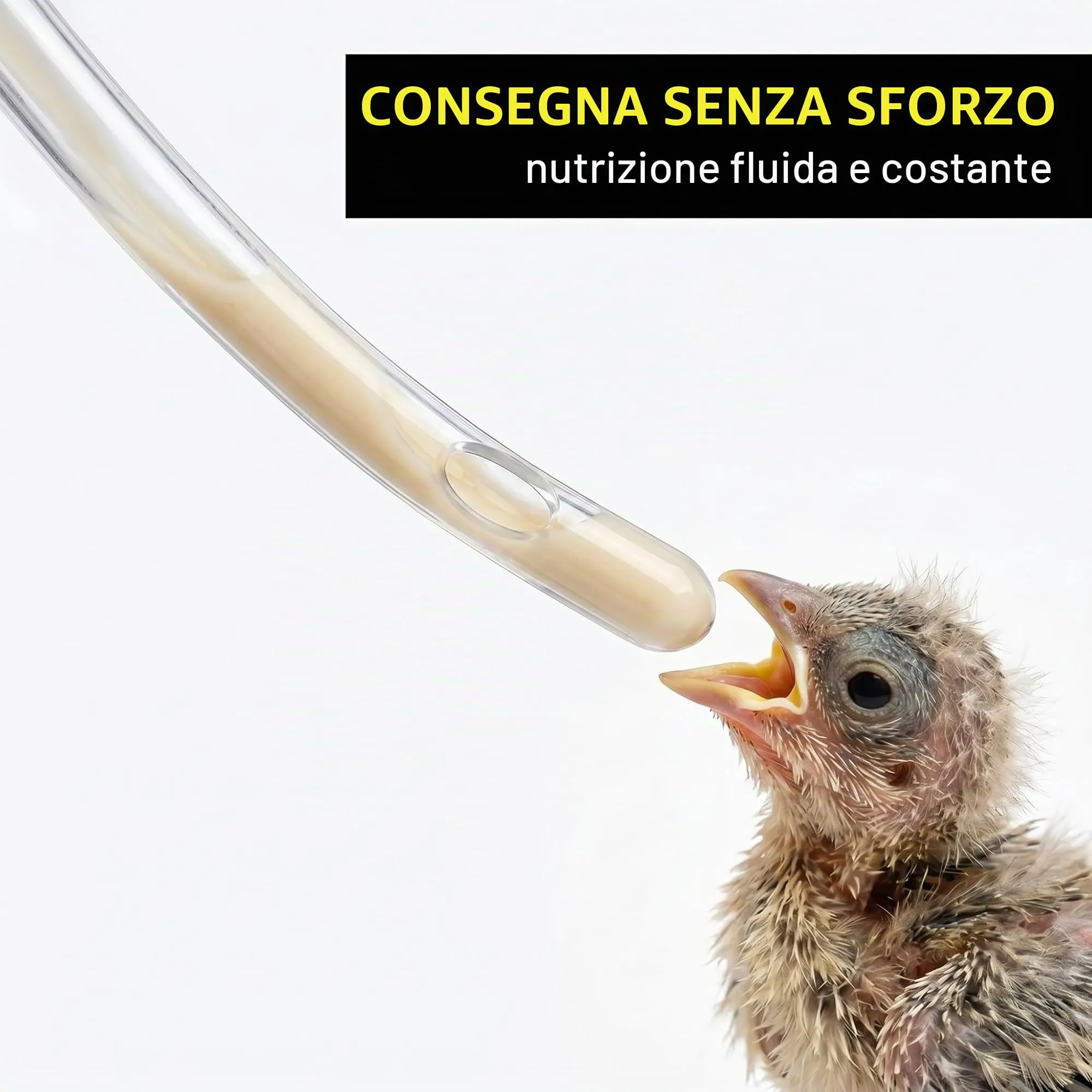 DBCEJF Kit Alimentazione per Uccelli e Piccioni, Siringa da 10 ml con 10 Tubicini Flessibili da 15 cm, Mangiatoia Manuale per Svezzamento di Pappagalli, Inseparabili e Tartarughe, Accessori Volatili - immagine 5